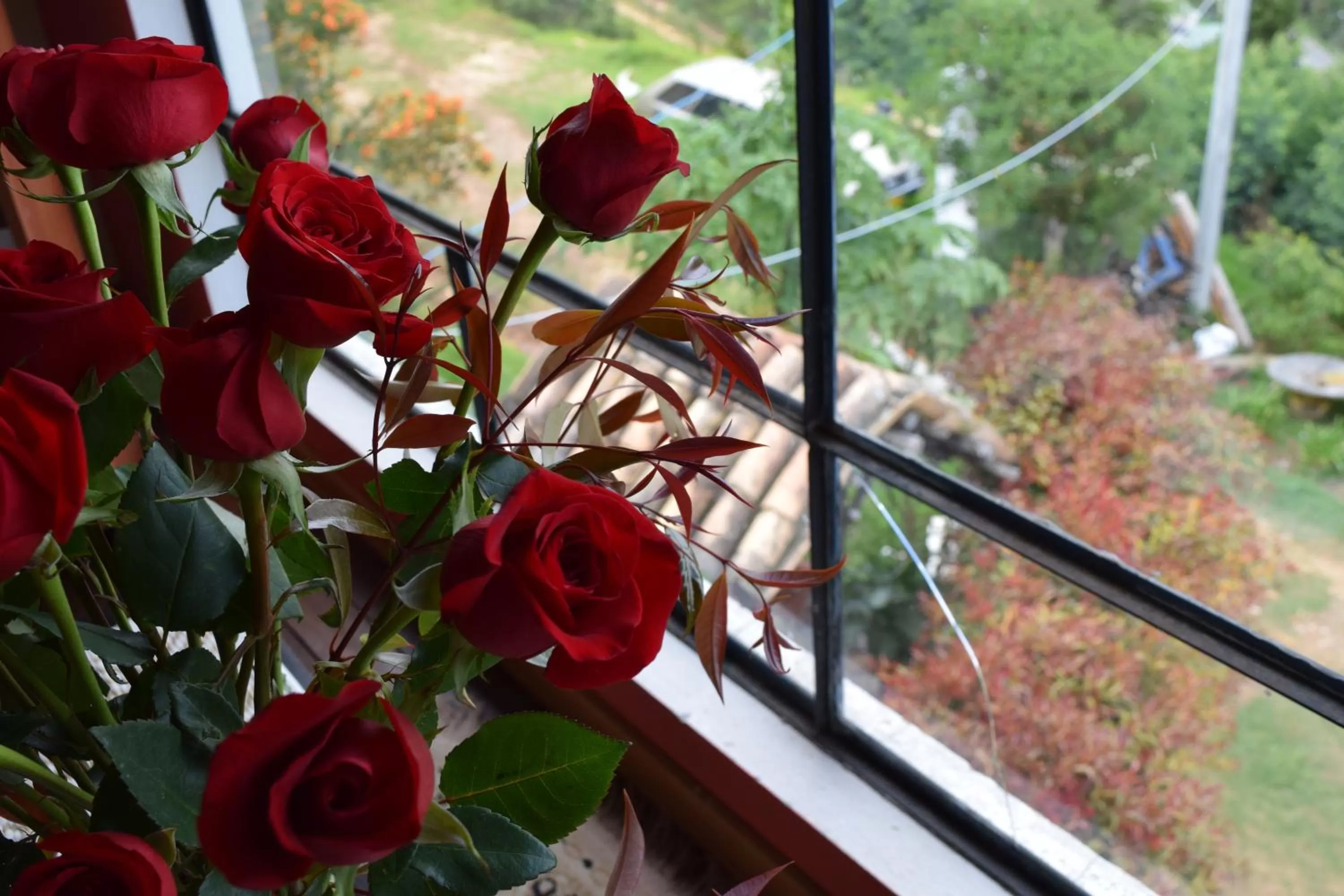 Garden view in El Pedregal Sopó