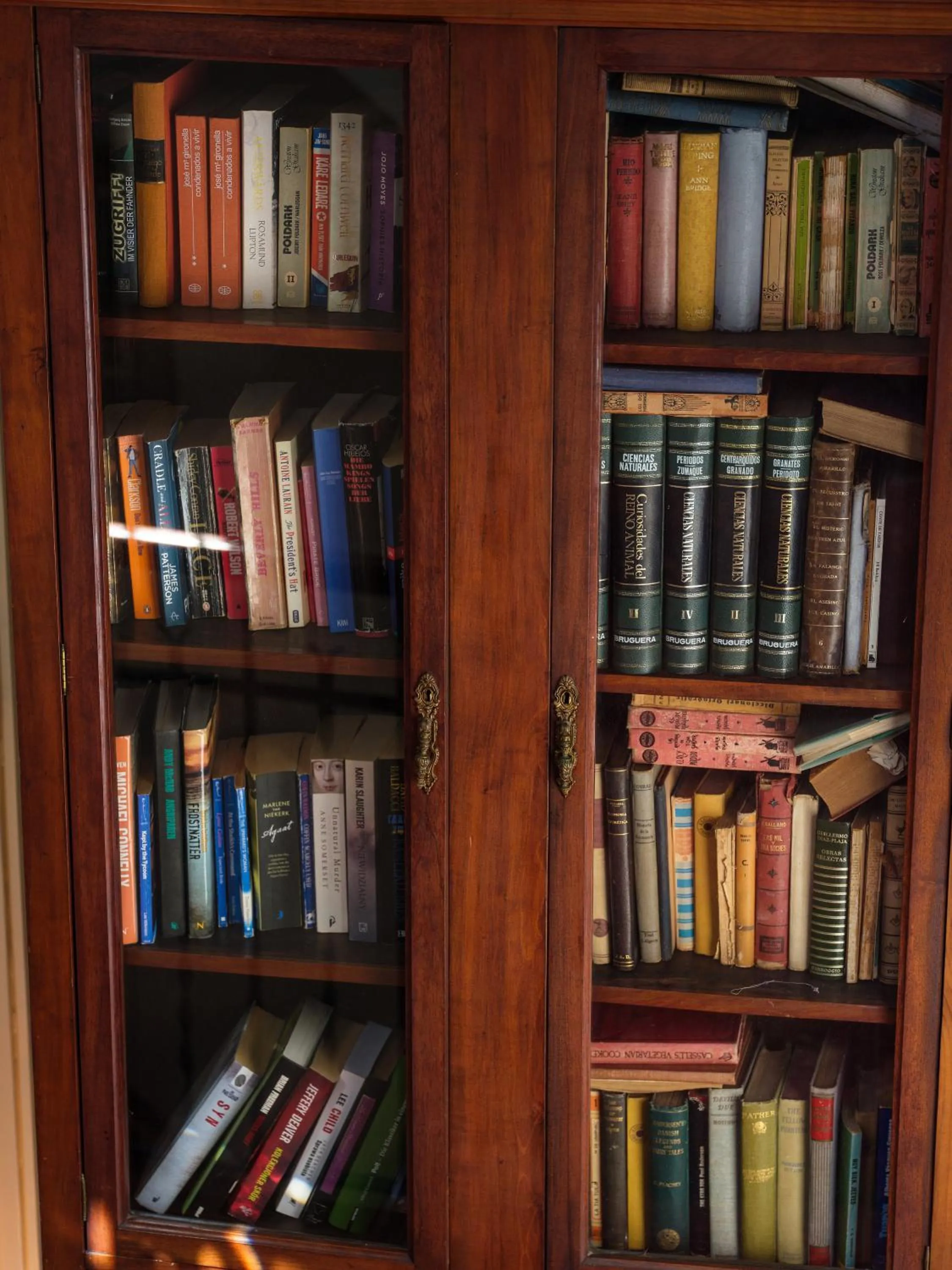 Library in Hotel Ciutat Jardi