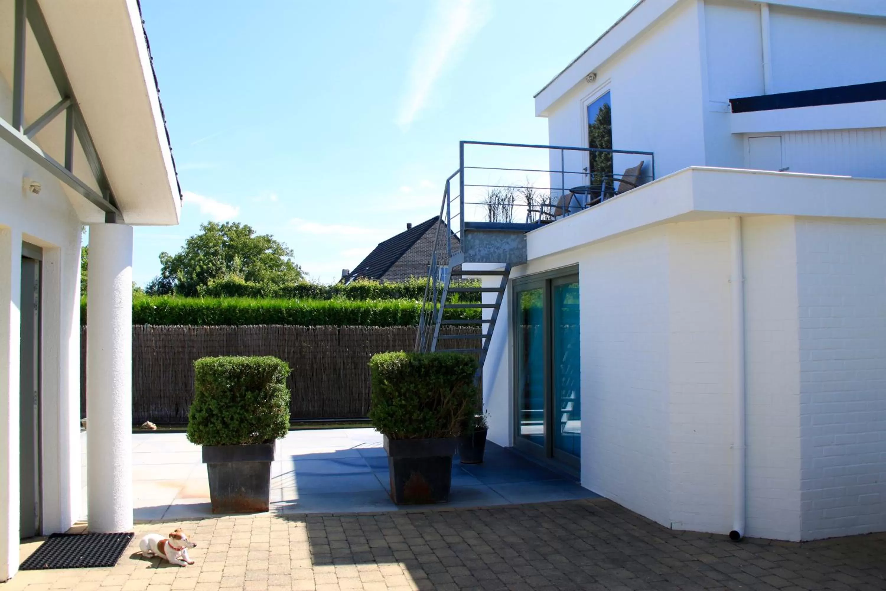 Balcony/Terrace, Facade/Entrance in Studio Art-hill