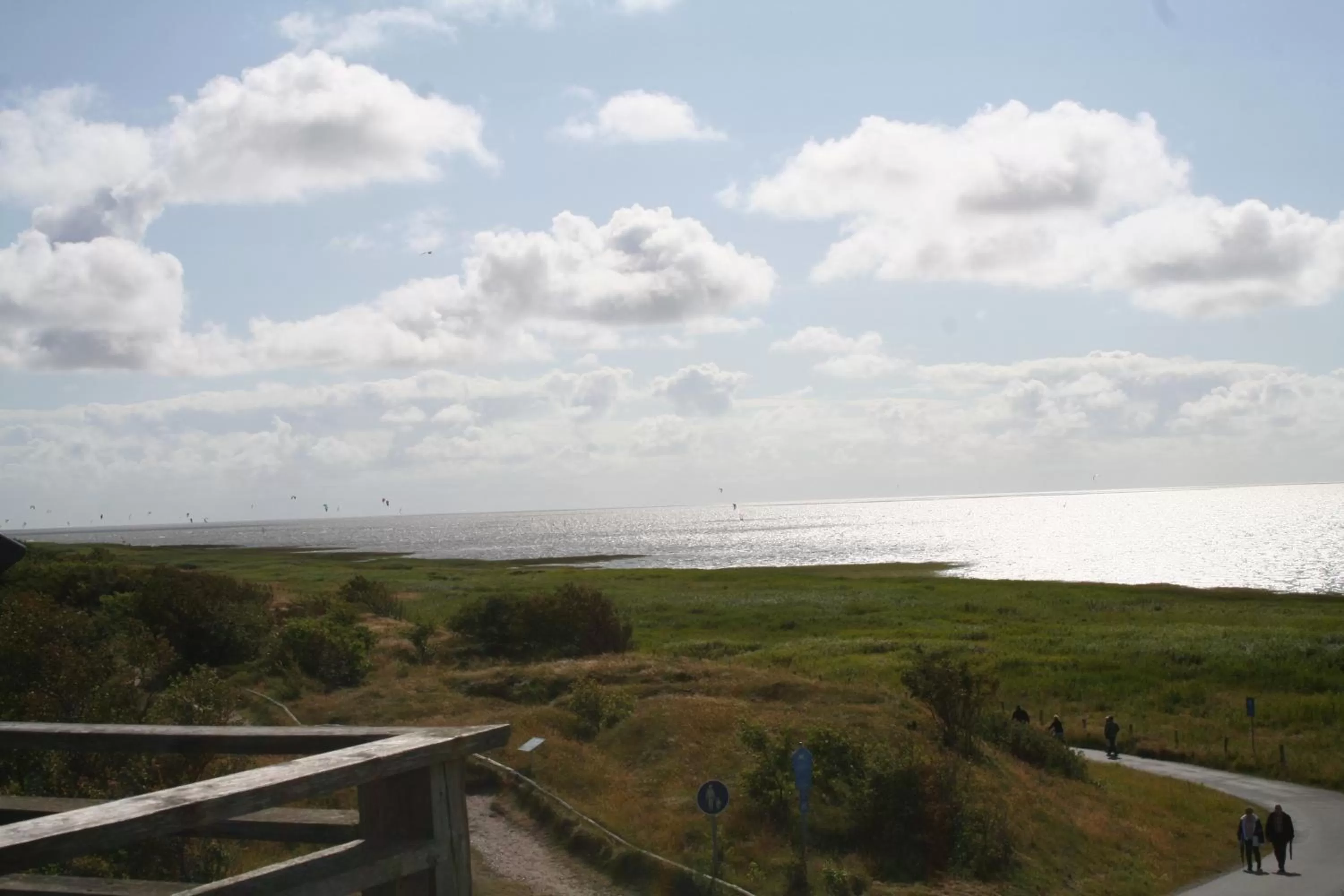 Area and facilities in Aparthotel Am Meer