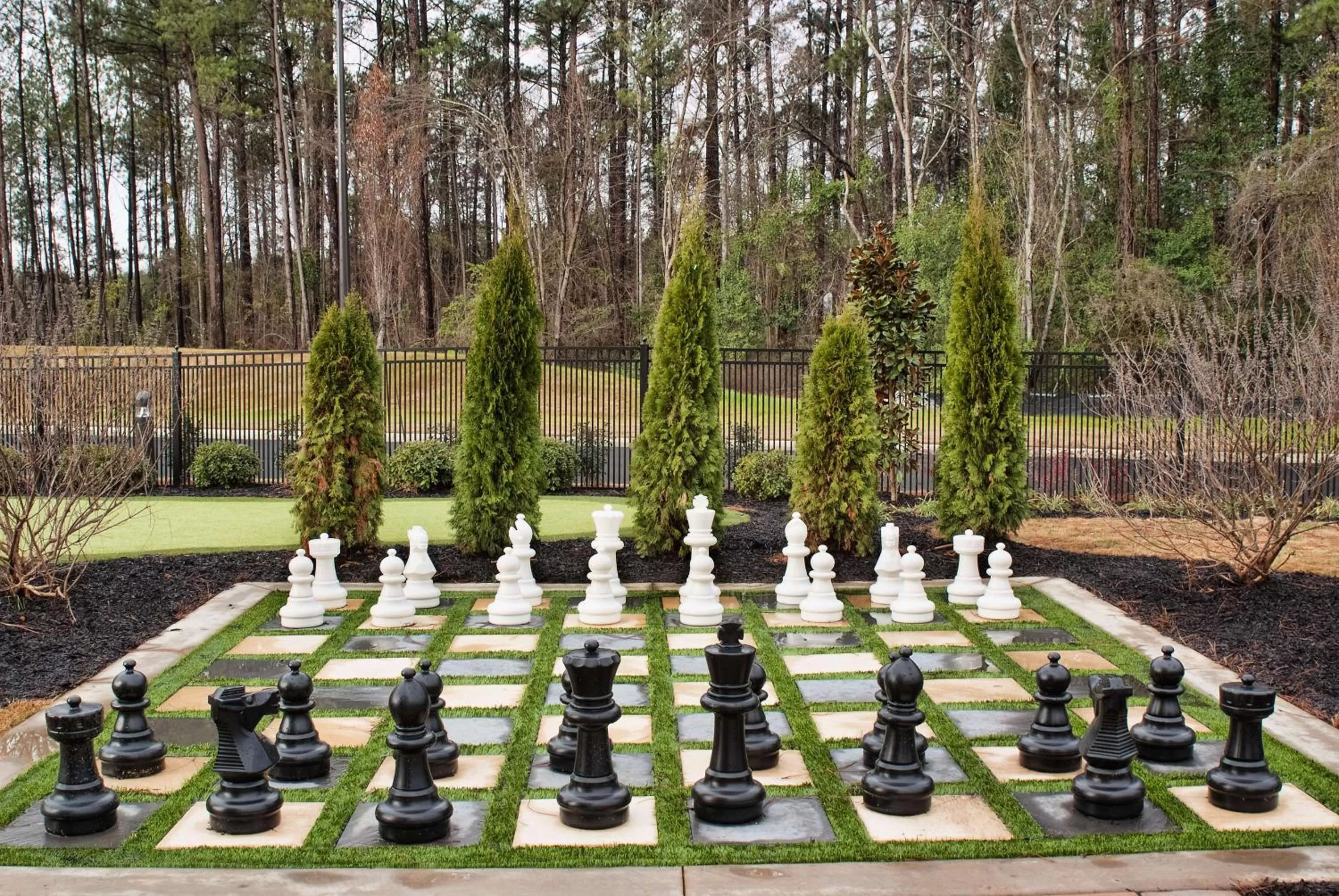 Sports in Hampton Inn & Suites by Hilton Augusta-Washington Rd