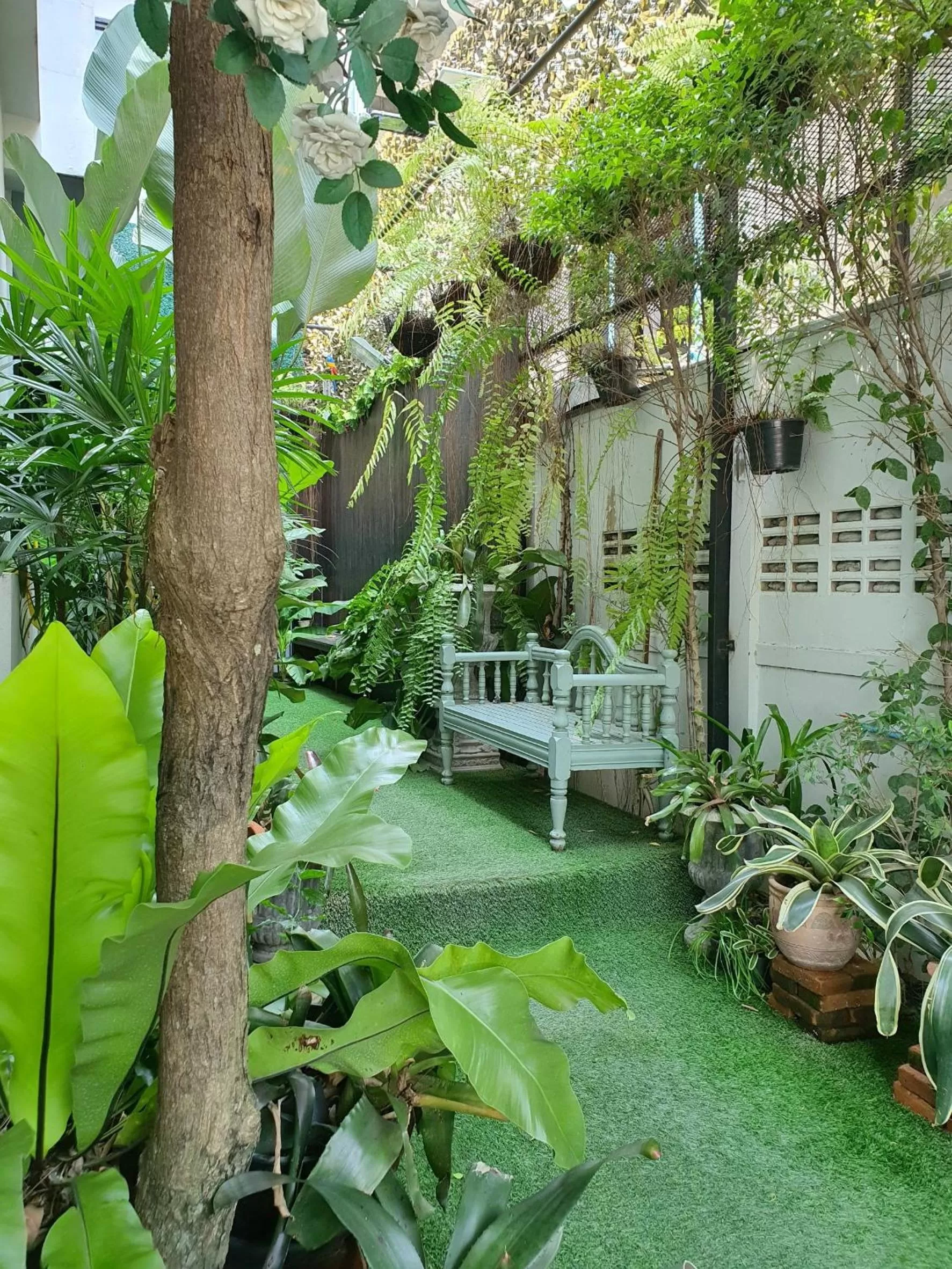 Garden in Marigold Lanna