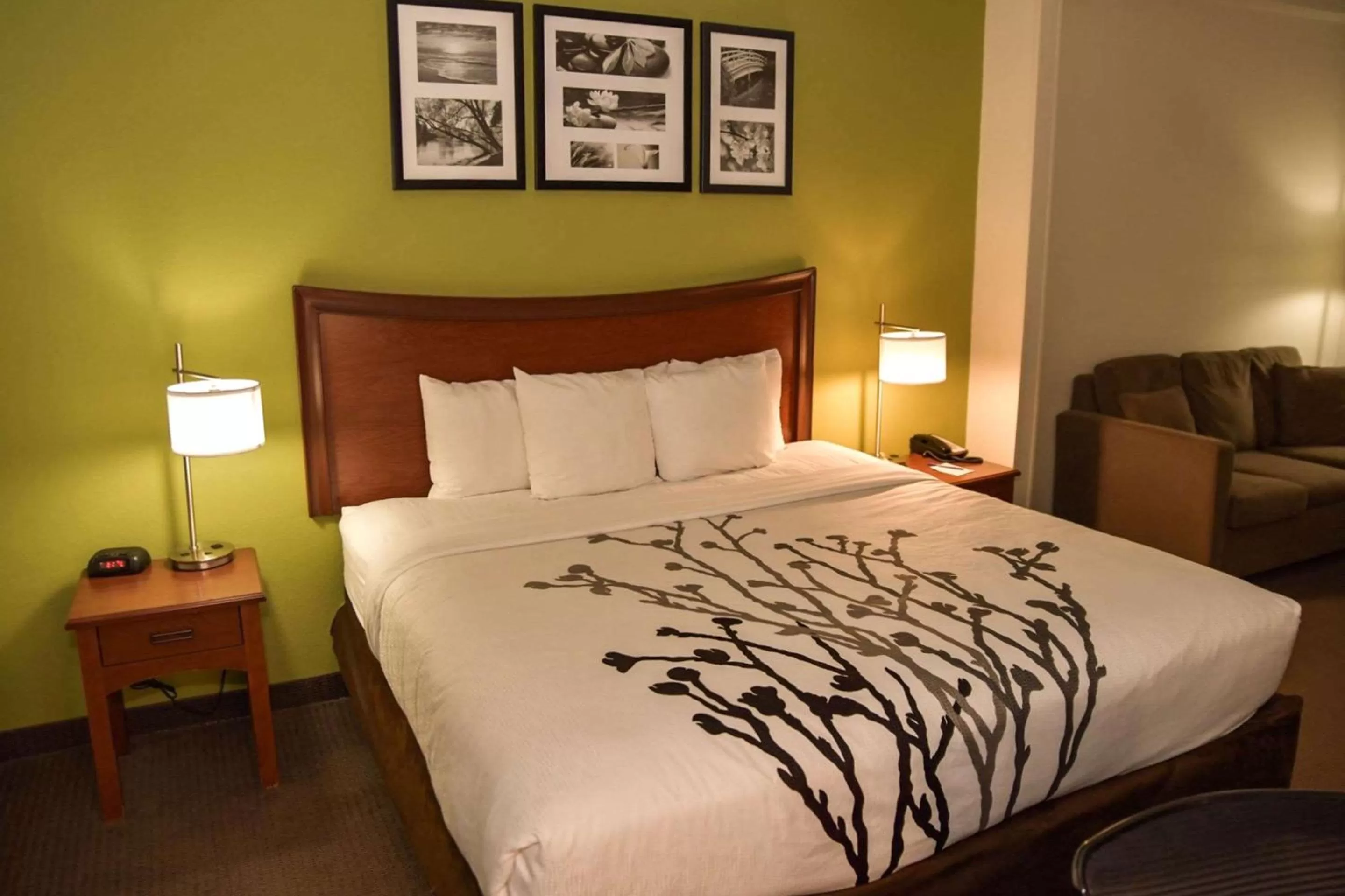 Bedroom, Bed in Sleep Inn & Suites Laurel near Fort Meade