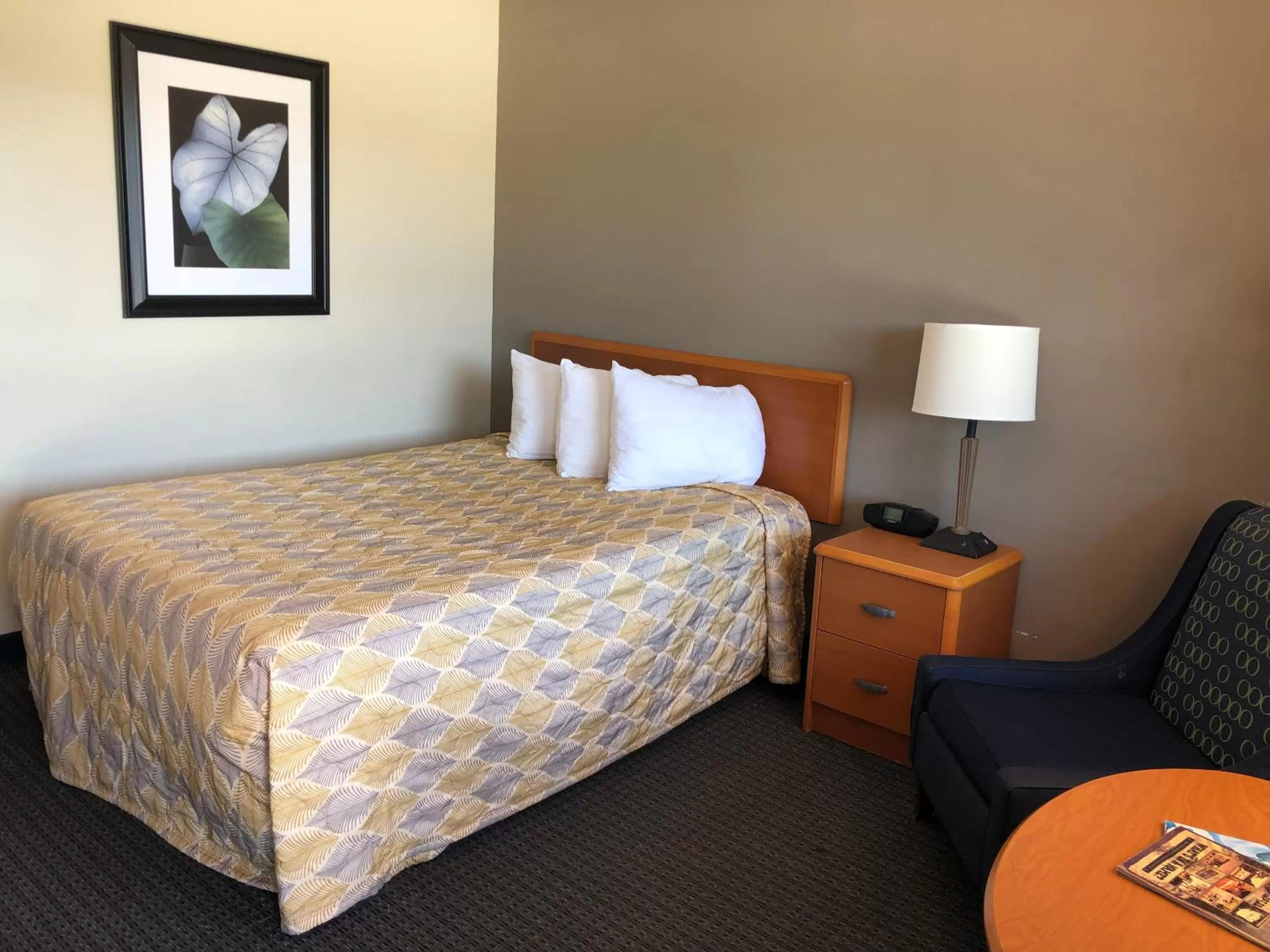 Deluxe Queen Suite in Sportsman's Inn Plymouth 252-793-3095