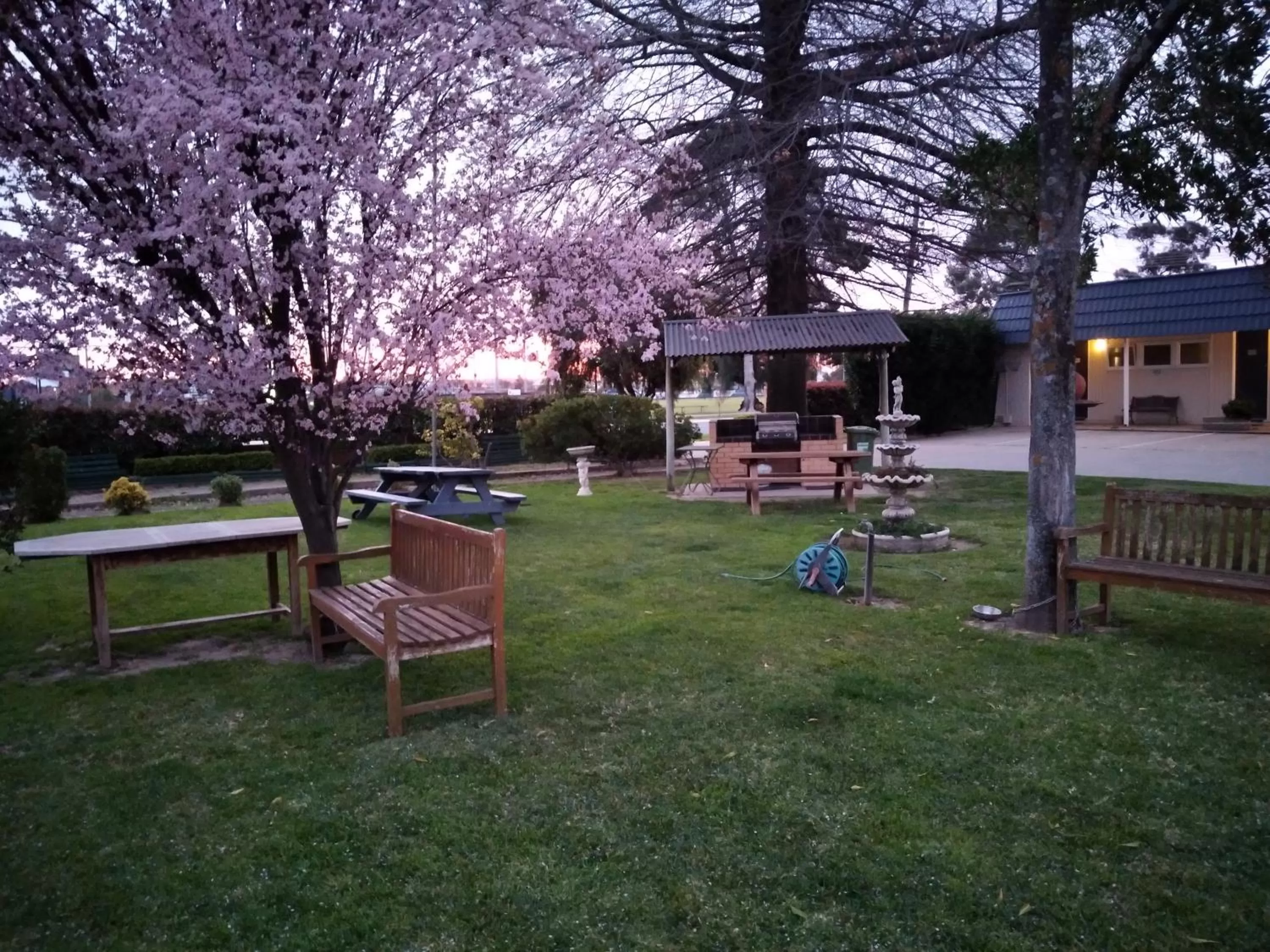 BBQ facilities in City Park Motel and Apartments