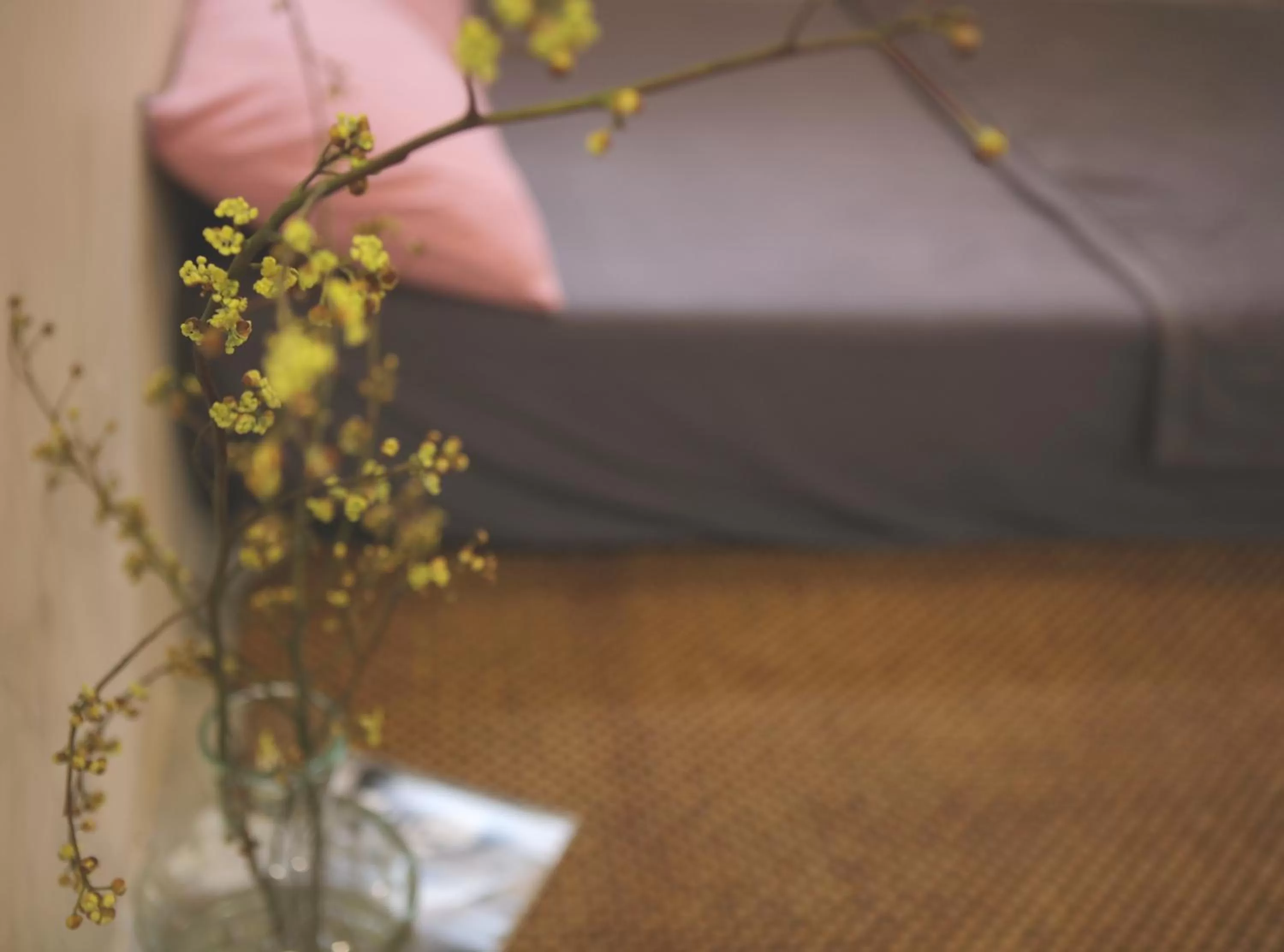 Spring in The First Ba Trieu Ha Noi