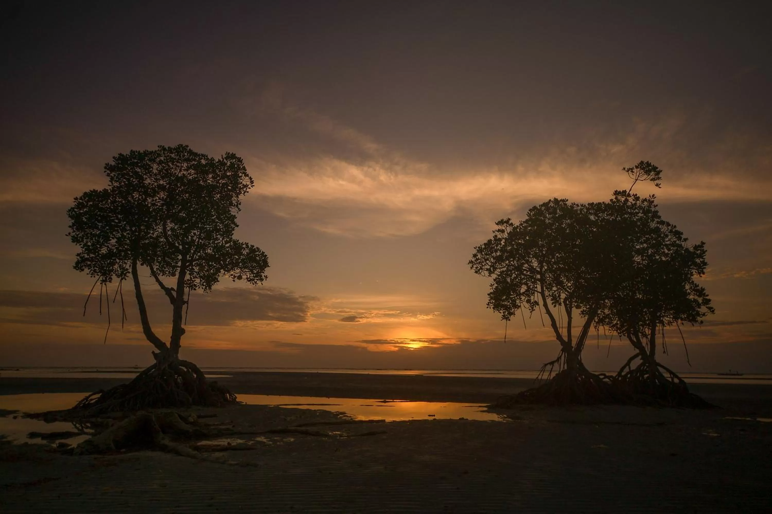 Natural landscape in Microtel by Wyndham Puerto Princesa