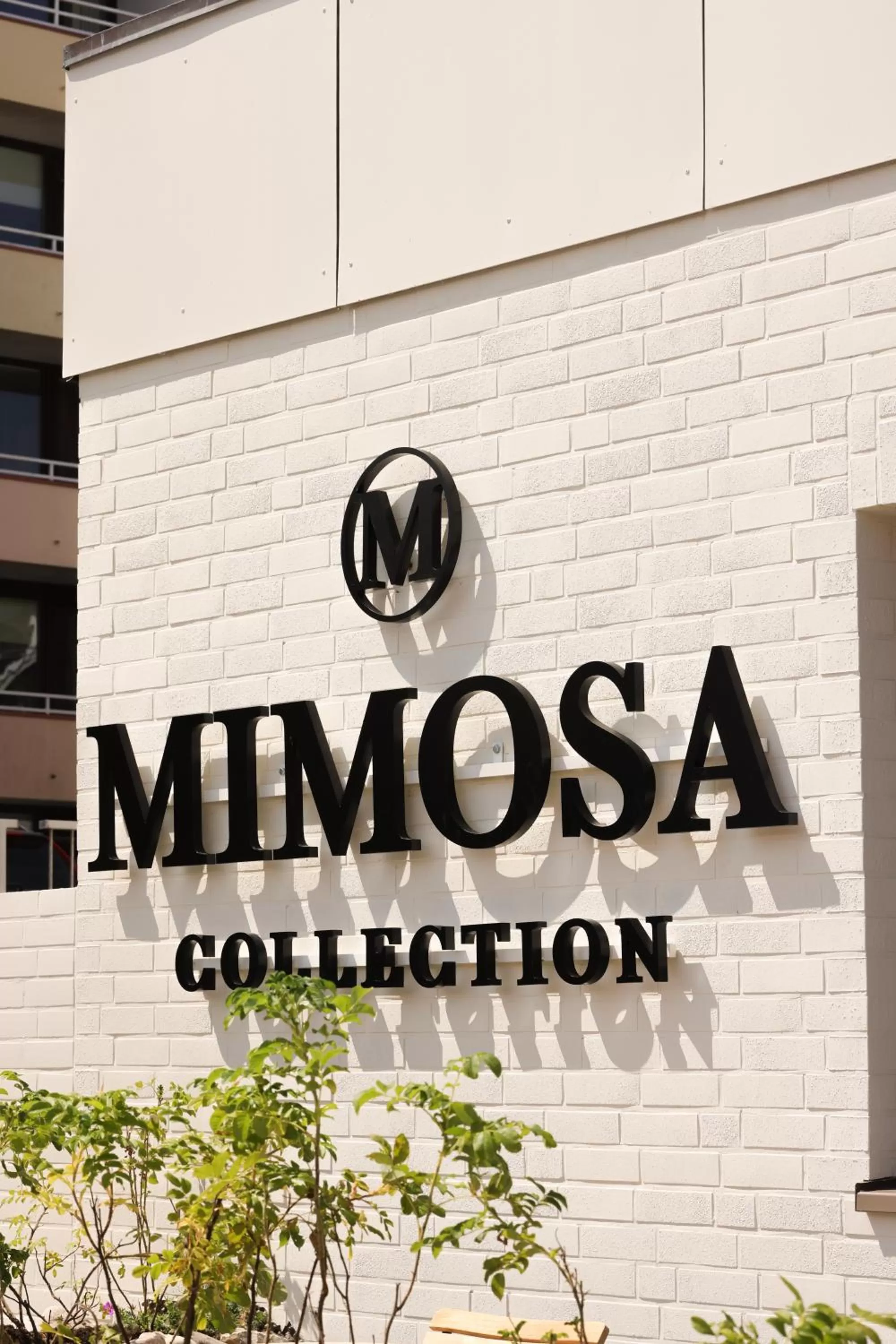 Facade/entrance in Mimosa Hotel