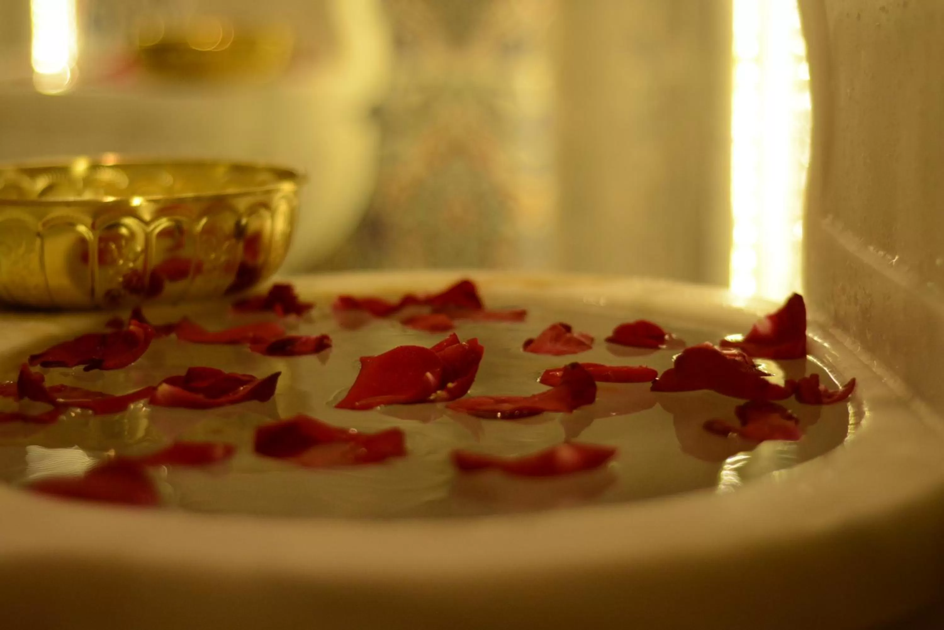 Area and facilities in Adams Hotel