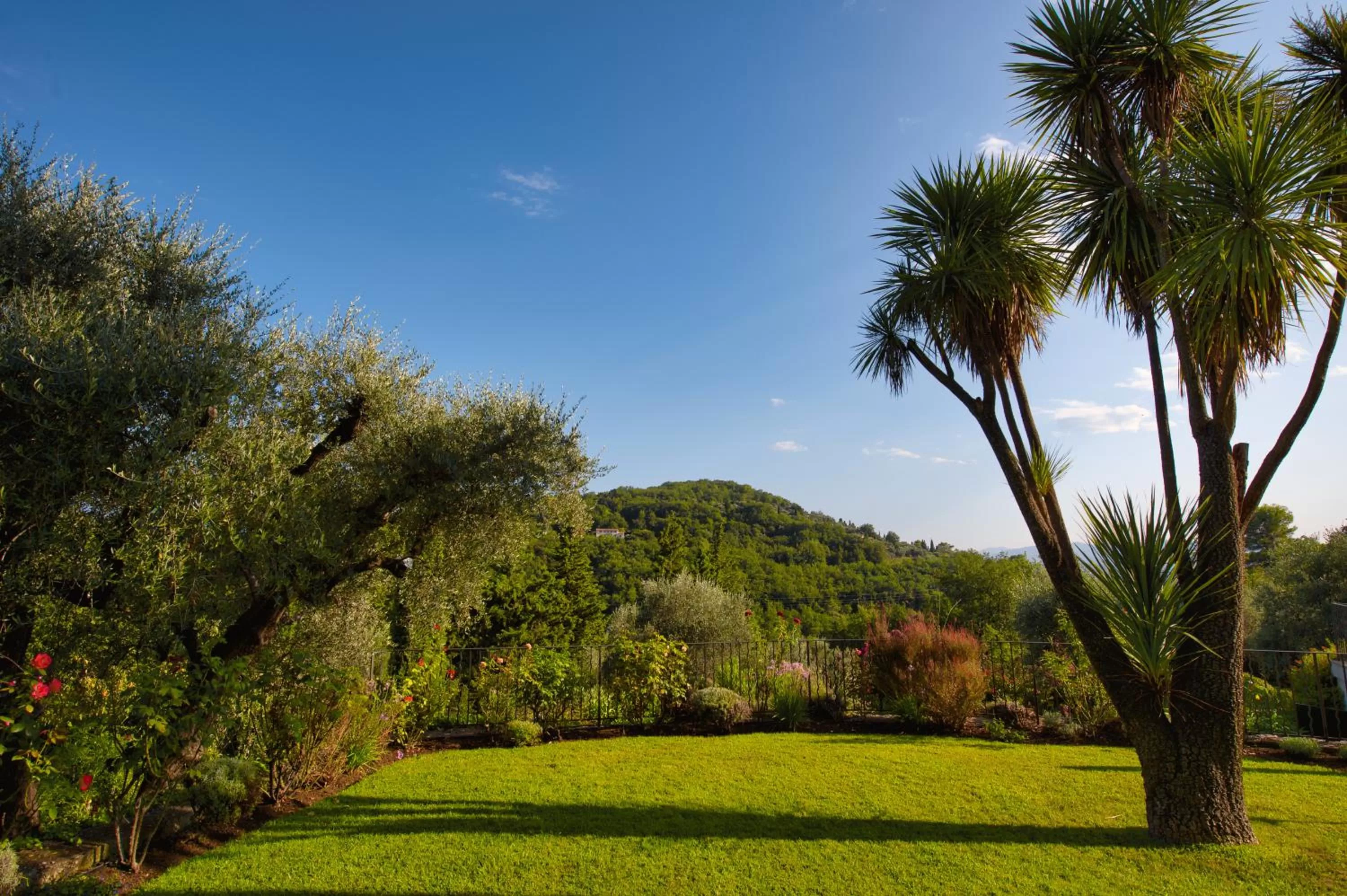 Garden in Mas Du Roc Bed & Breakfast
