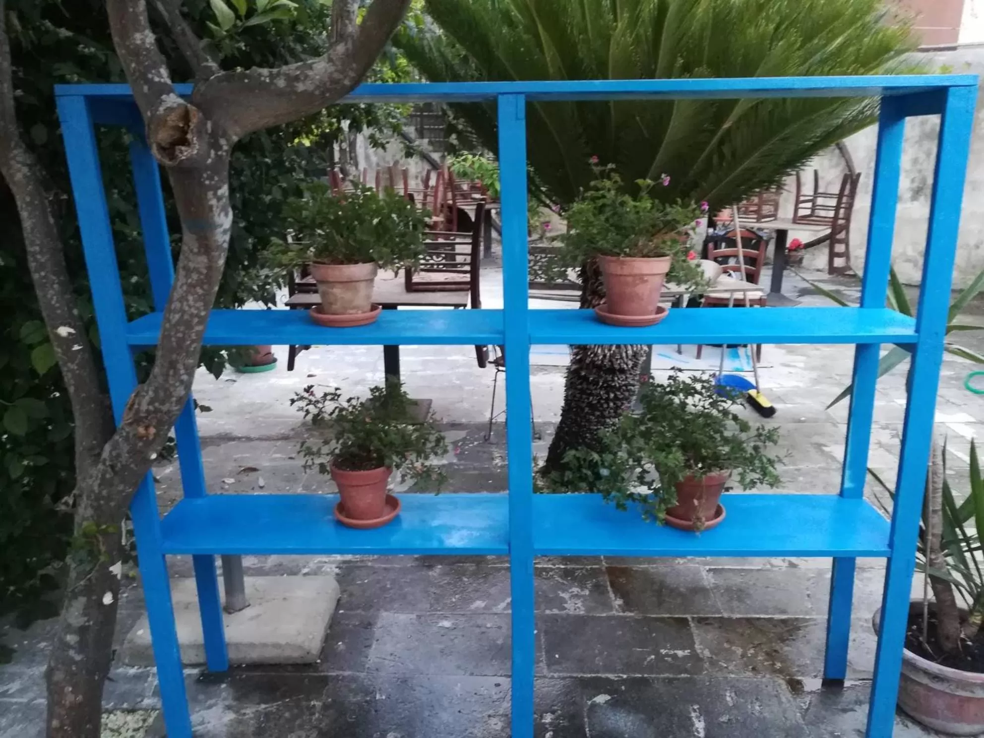 Garden in Residenza Donnafugata B&B