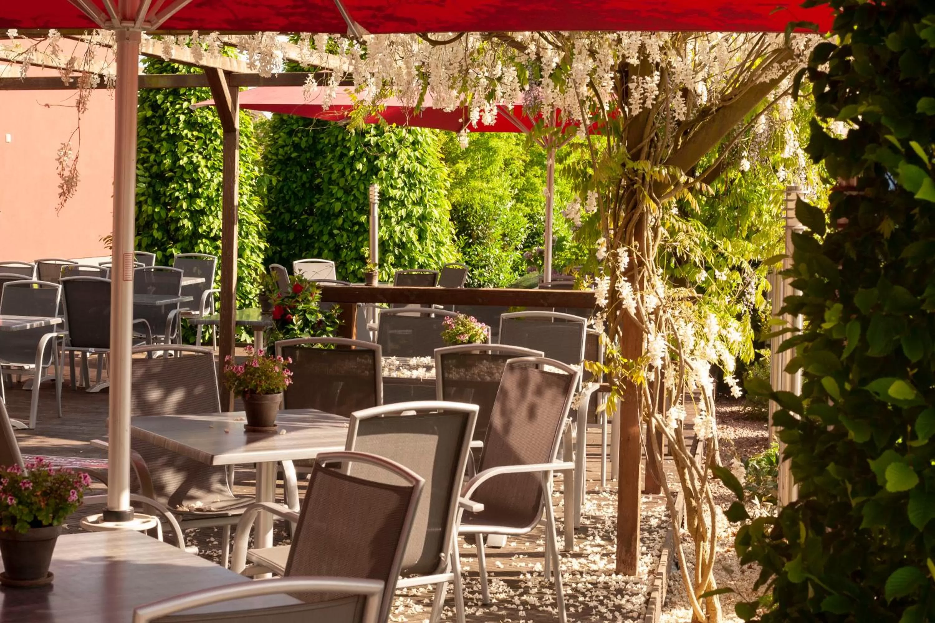 Balcony/Terrace in Schlüter Hotel & Restaurant