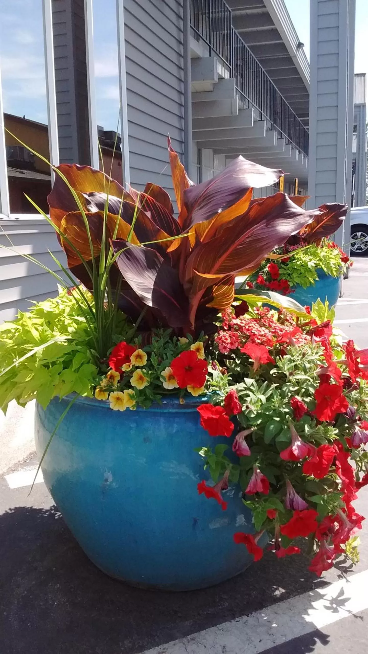 Decorative detail in Cocusa Motel