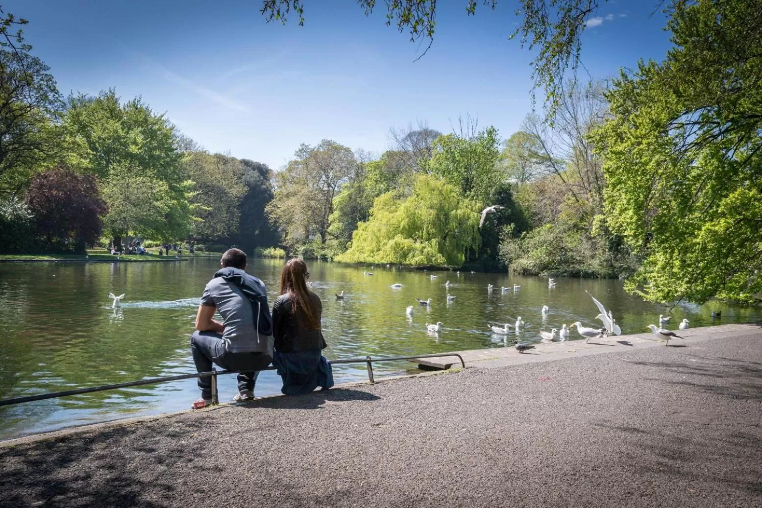 Area and facilities in Maldron Hotel Kevin Street, Dublin City