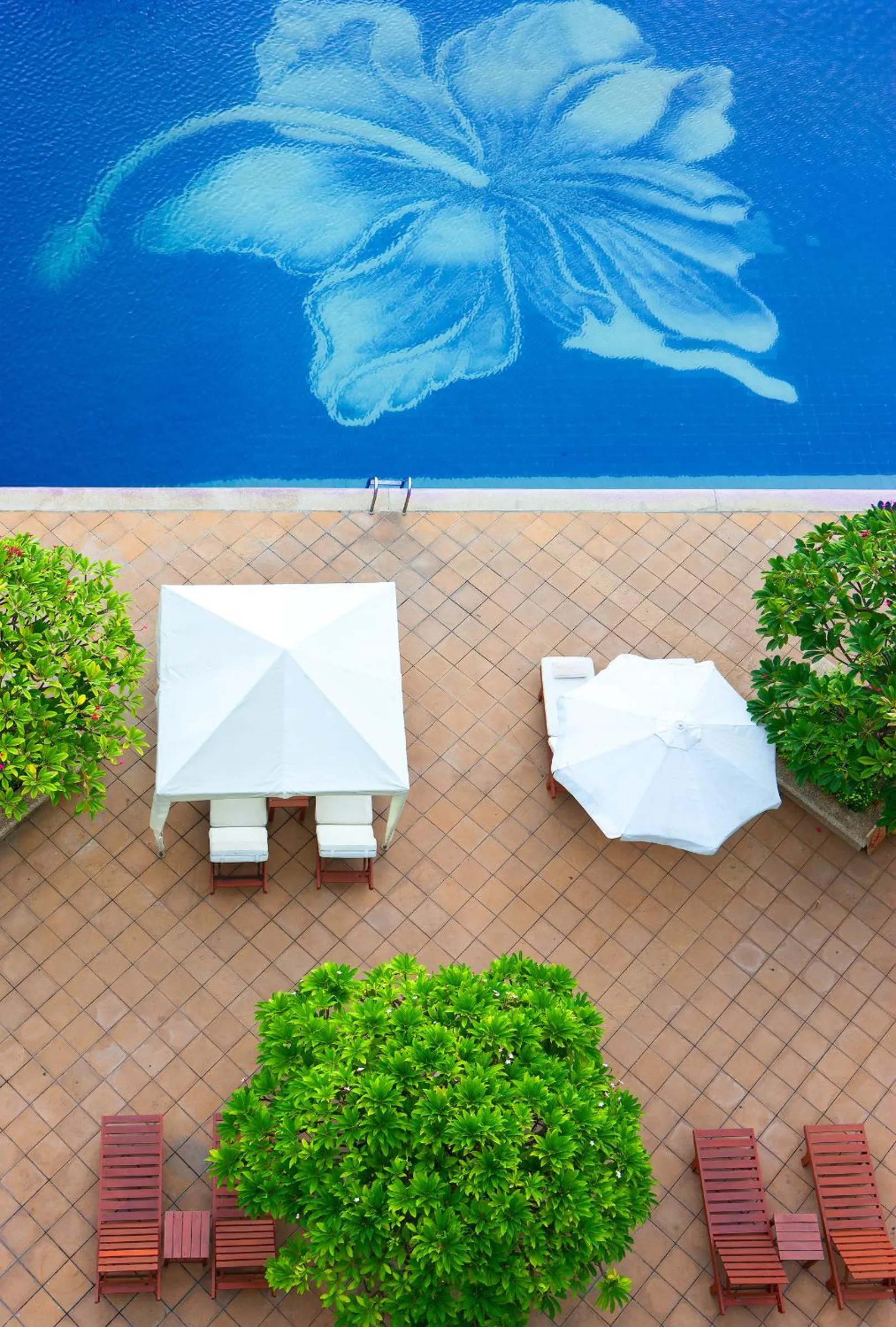 Pool view in Dusit Thani Pattaya