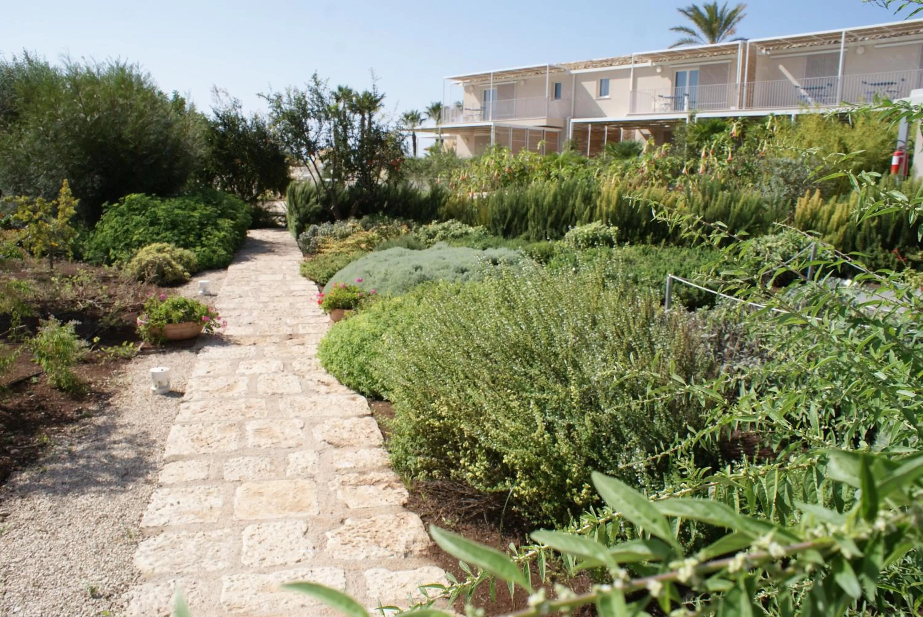 Garden in La Scibina