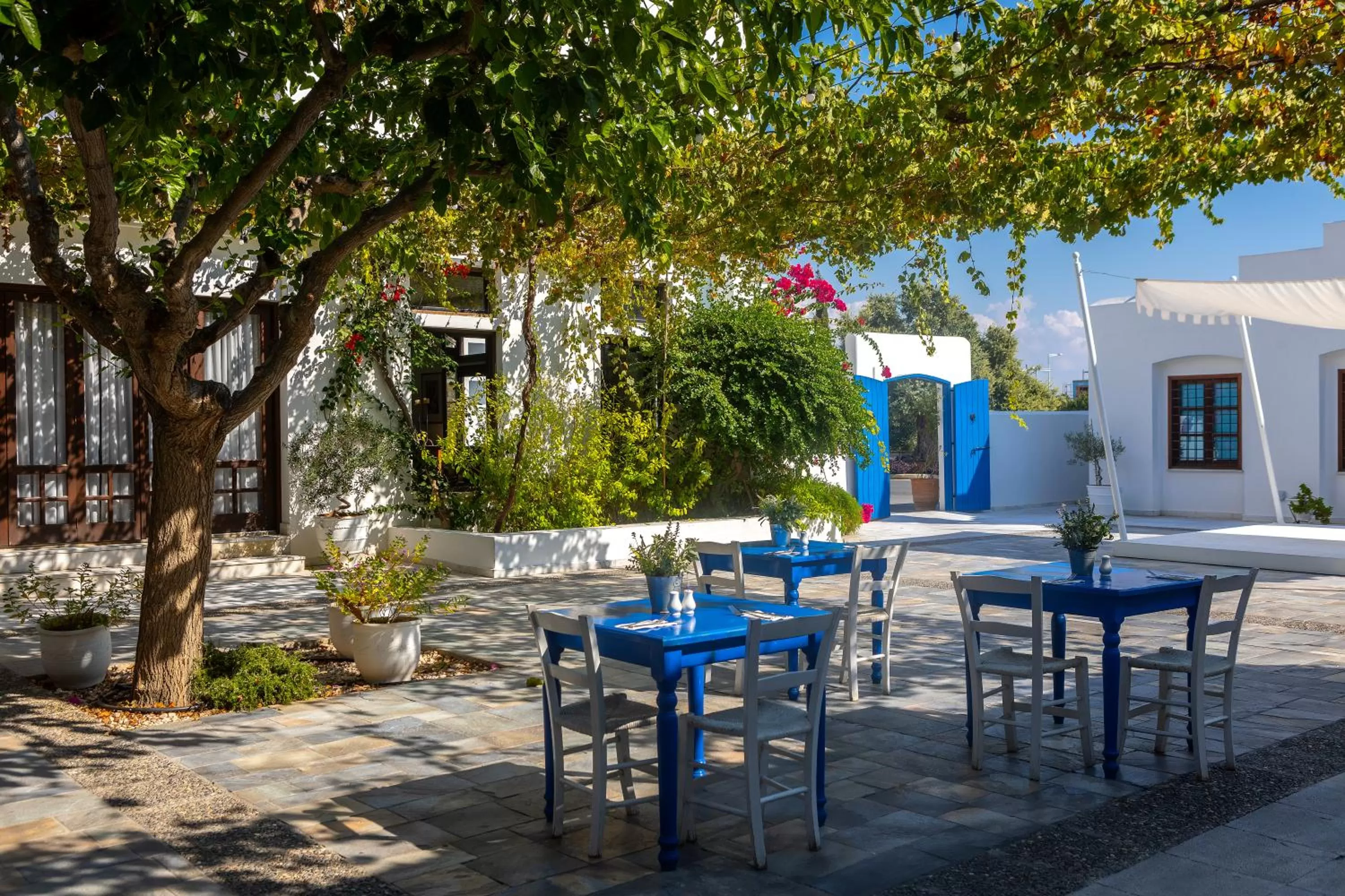 Restaurant/places to eat in Aliathon Aegean
