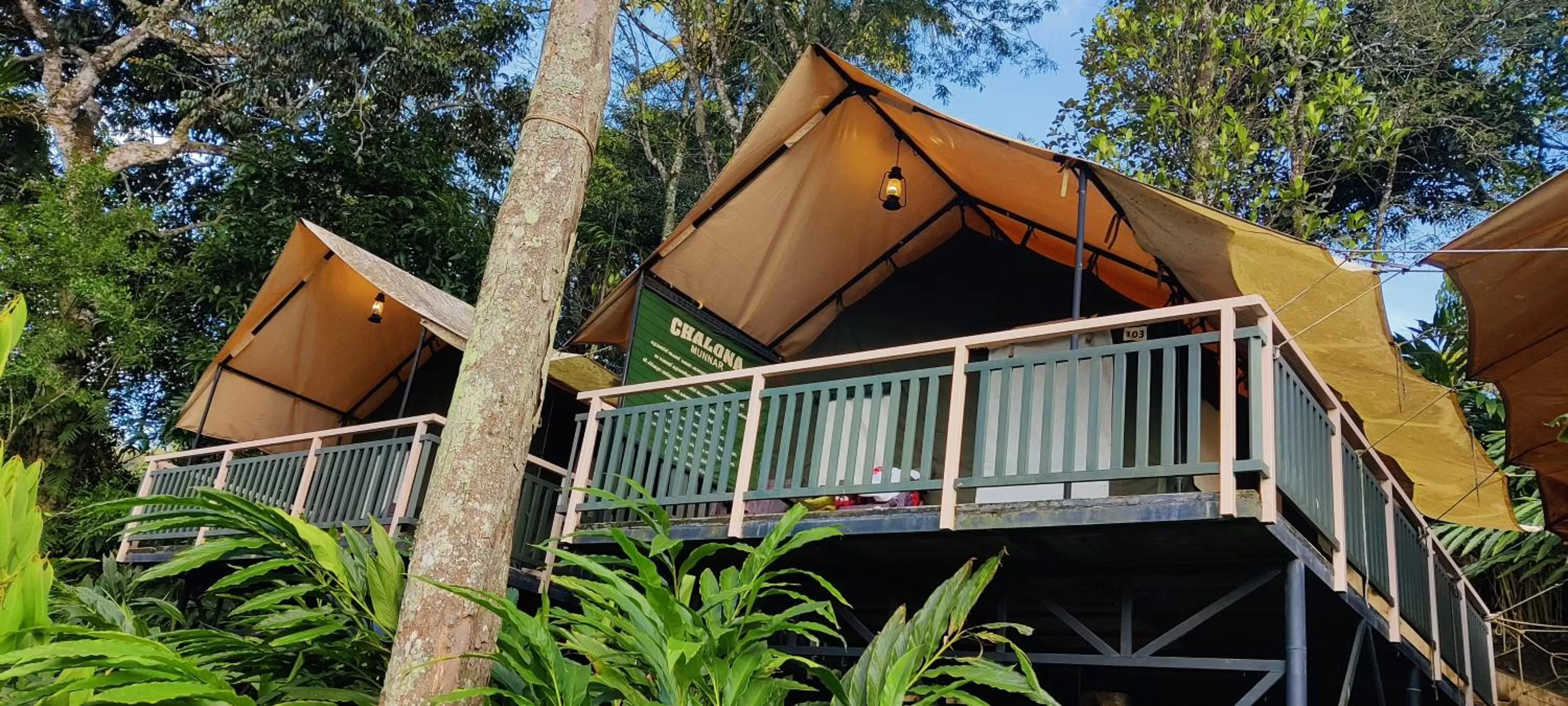 Property Building in Chalona Jungle Vibe