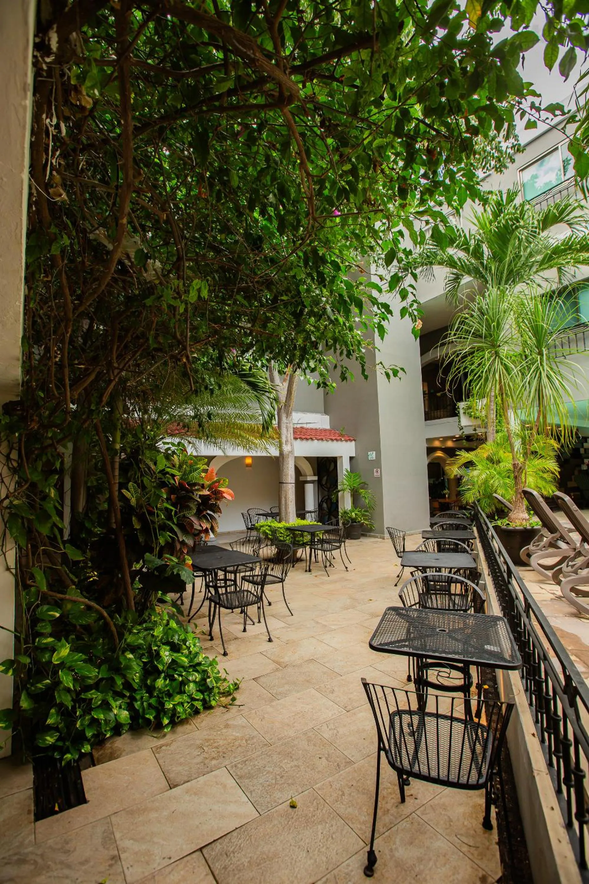 Garden in Hotel Nacional Merida