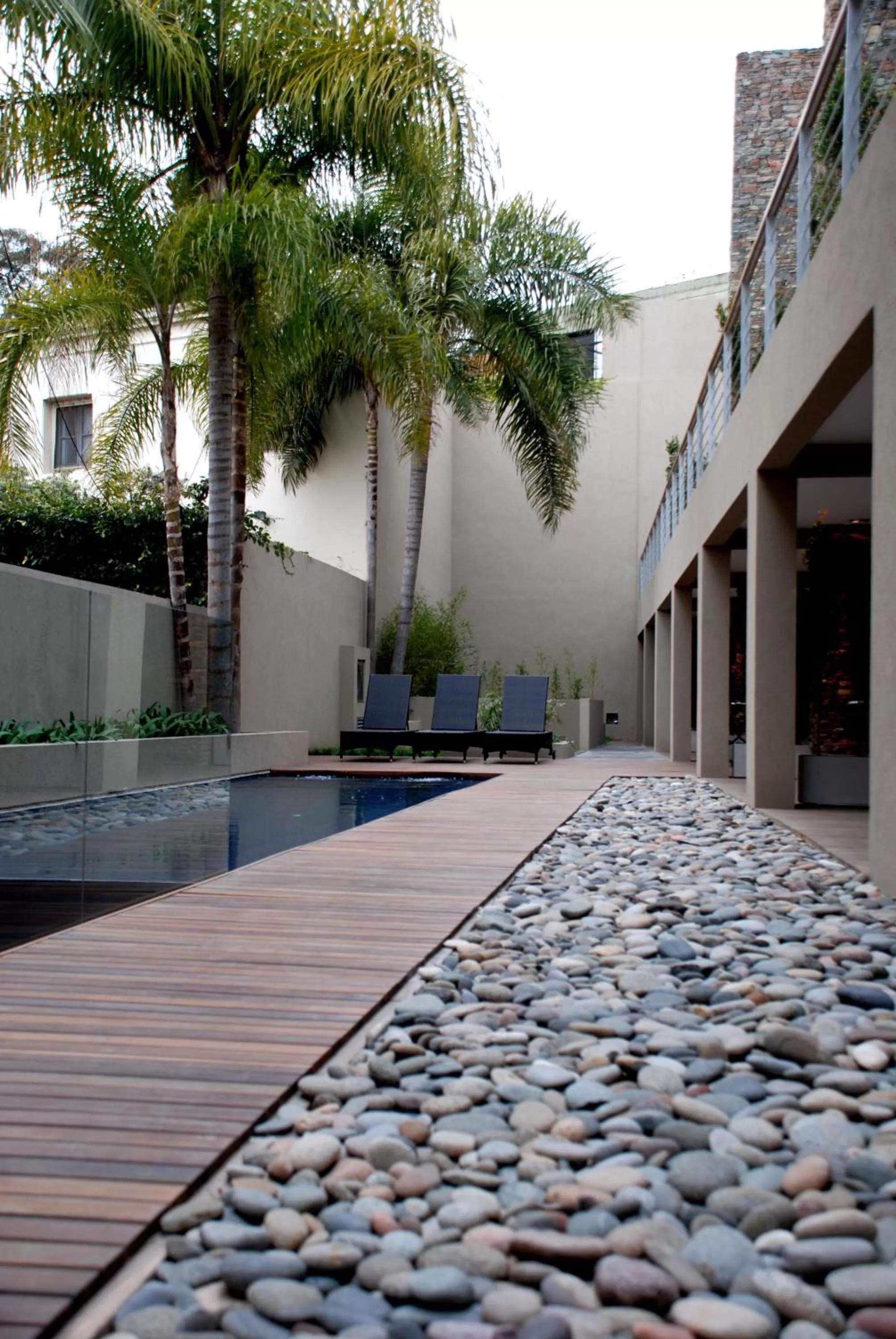 Garden in San Isidro Plaza Hotel