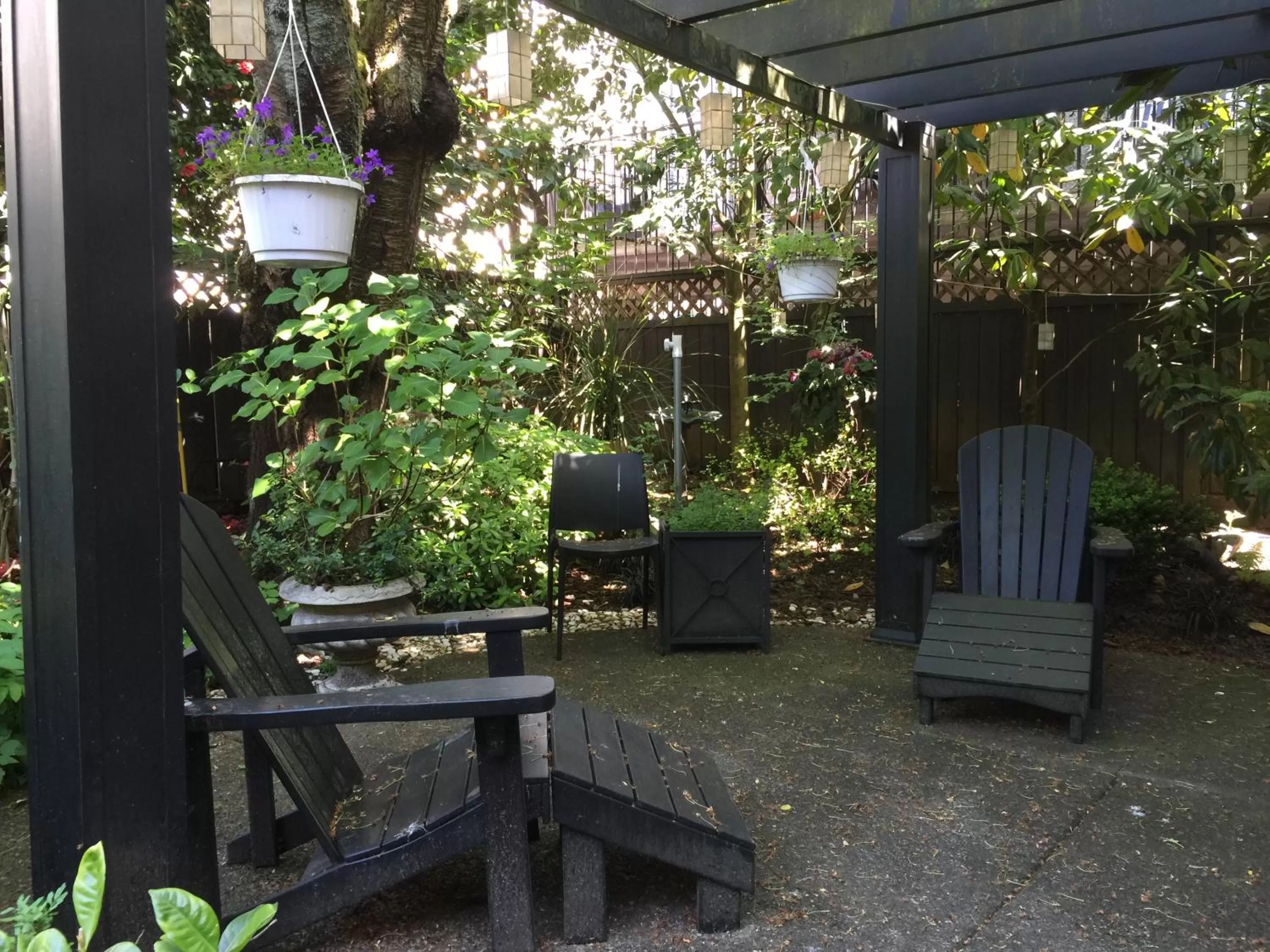 Garden in Barclay House Bed and Breakfast