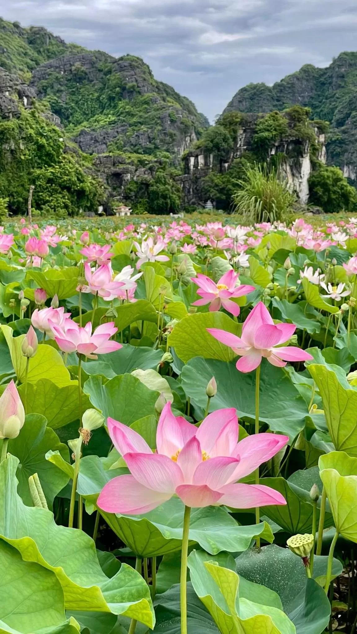 Natural landscape in Hanoi Holiday Hotel