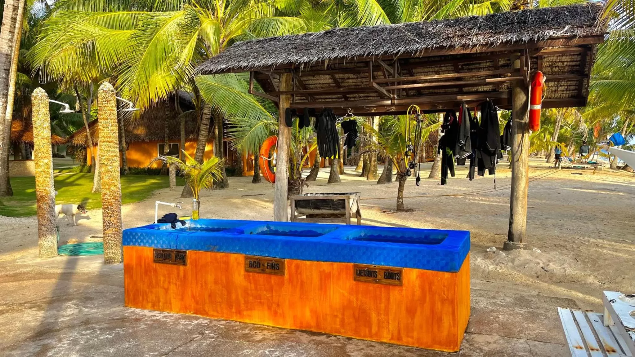 Diving in Coco Grove Beach Resort, Siquijor Island