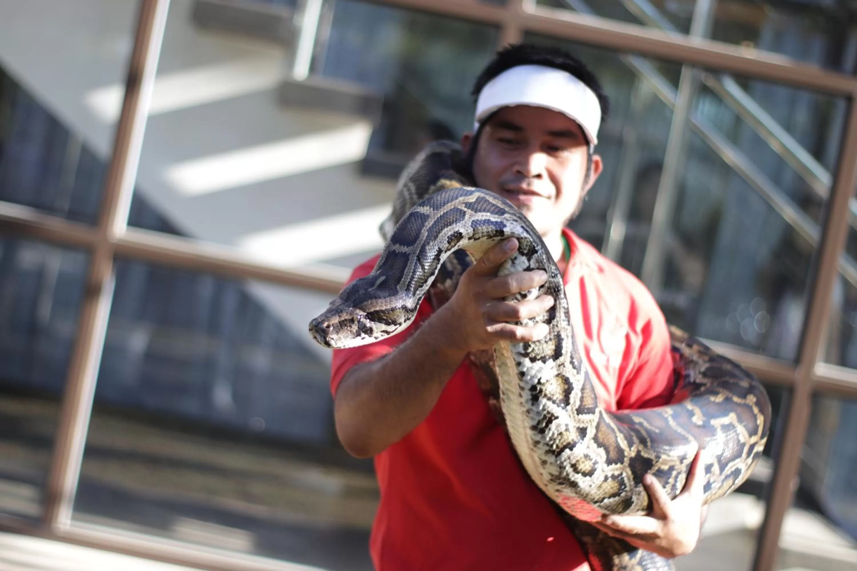 Day in Estancia de lorenzo