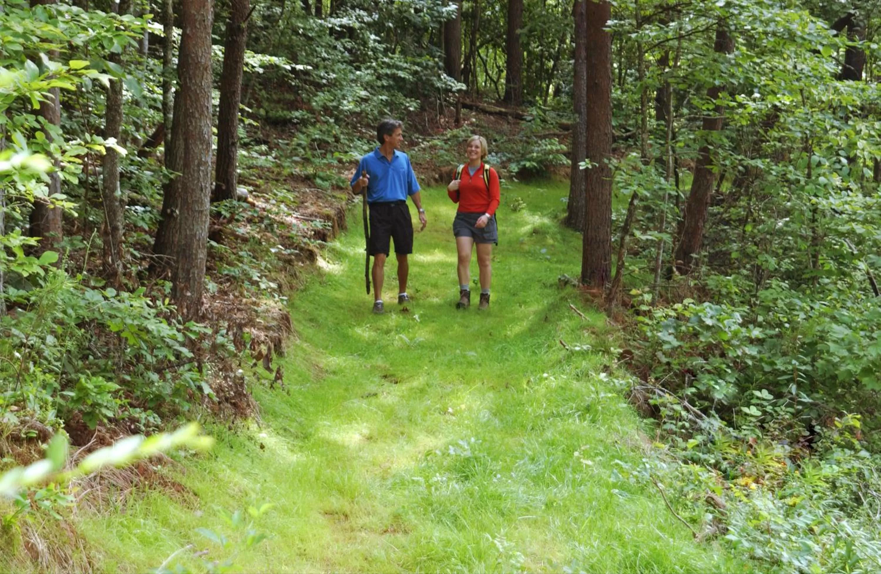 Hiking in Brasstown Valley Resort & Spa