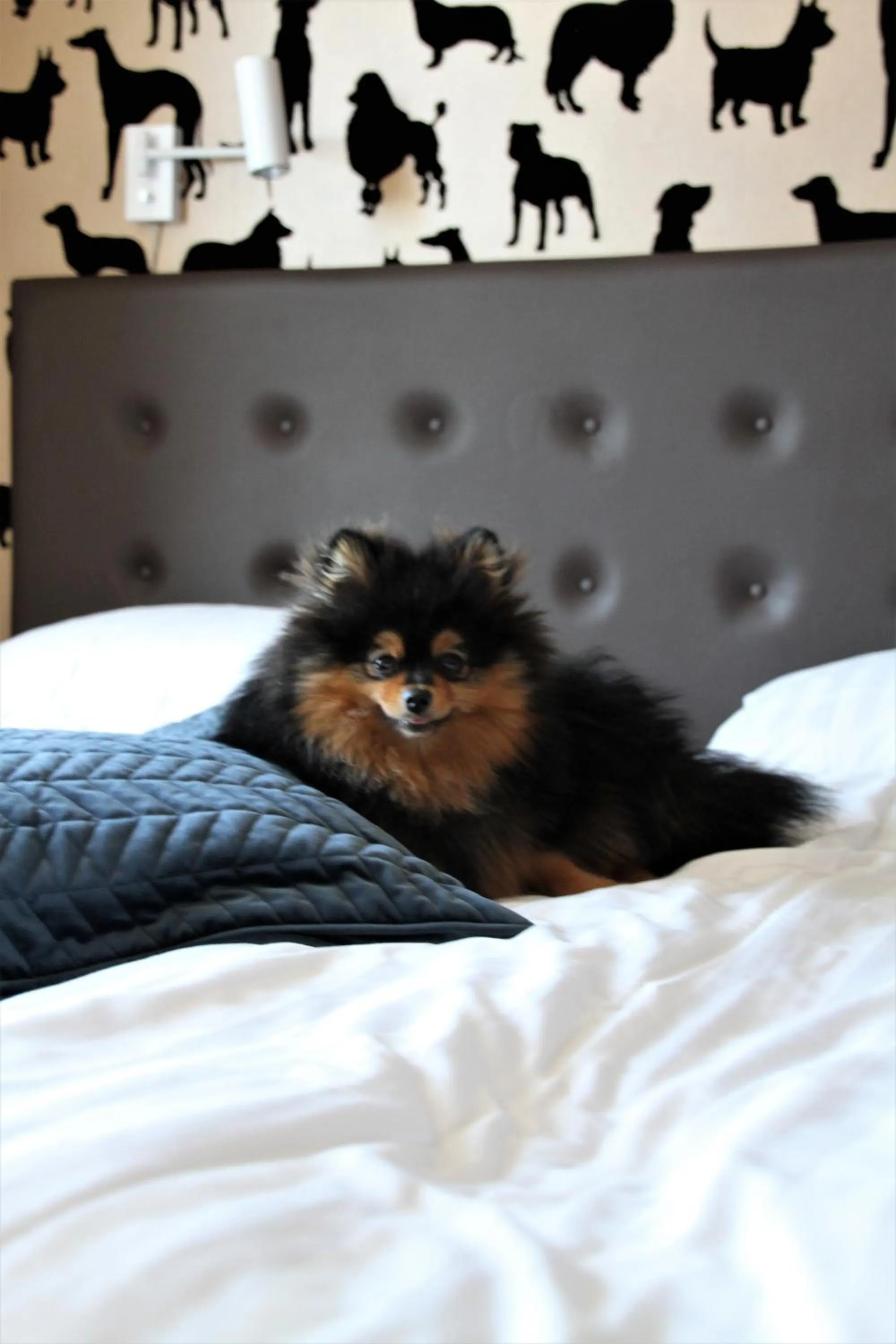 Bed in Best Western Vetlanda Stadshotell