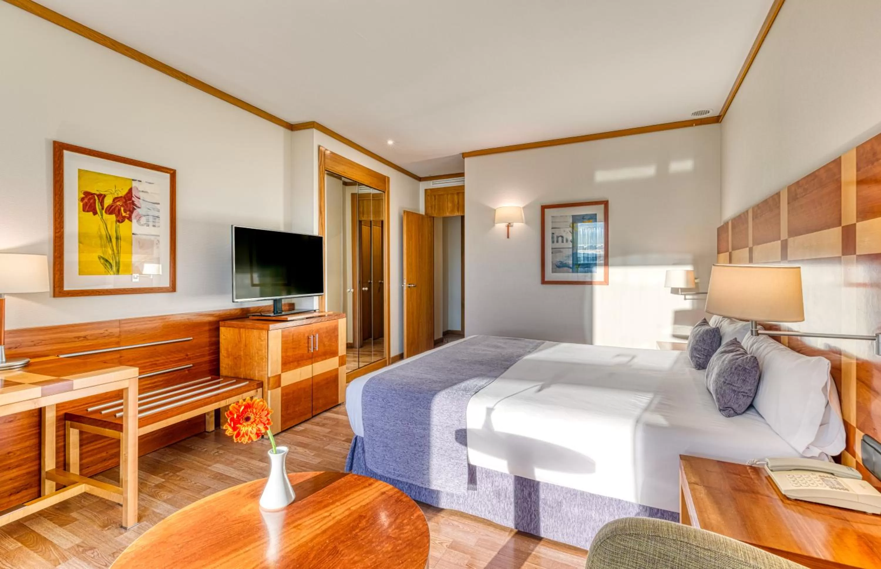 TV and multimedia, Bed in Senator Parque Central