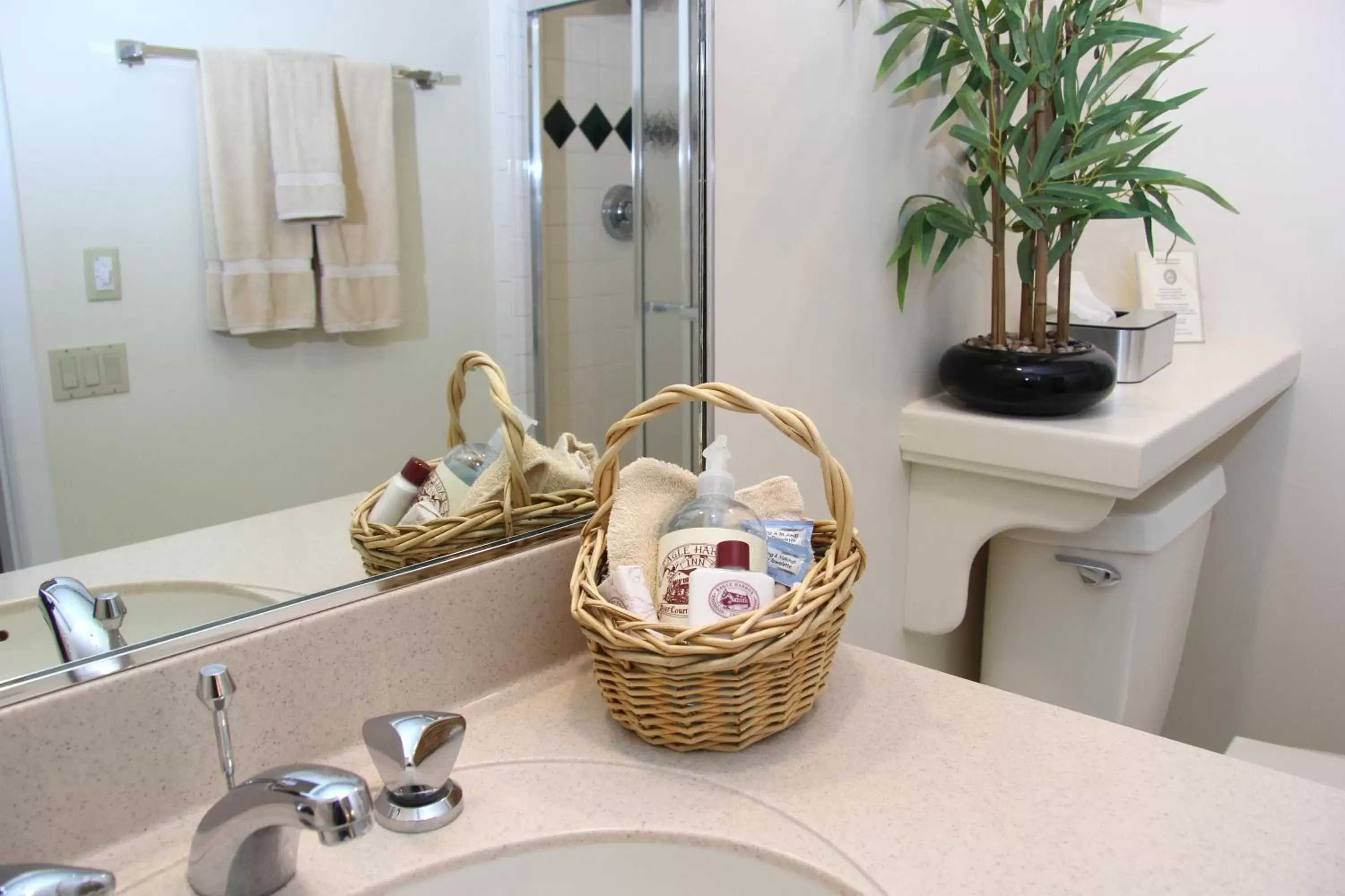 Deluxe Suite with Spa Bath in Eagle Harbor Inn Deluxe Suite with Spa Bath in Eagle Harbor Inn