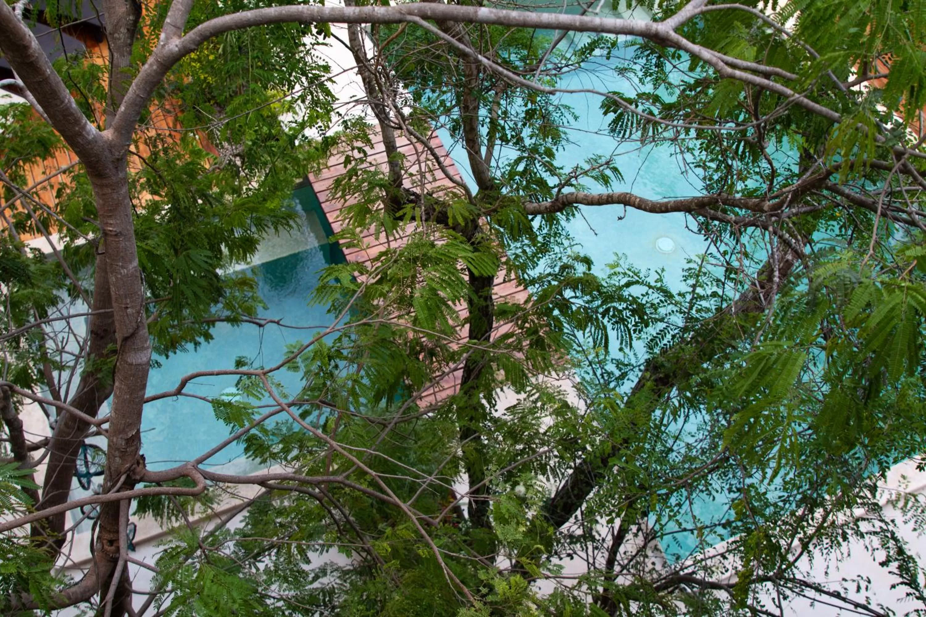 Pool view in Little Gem Hotel Tulum La Veleta
