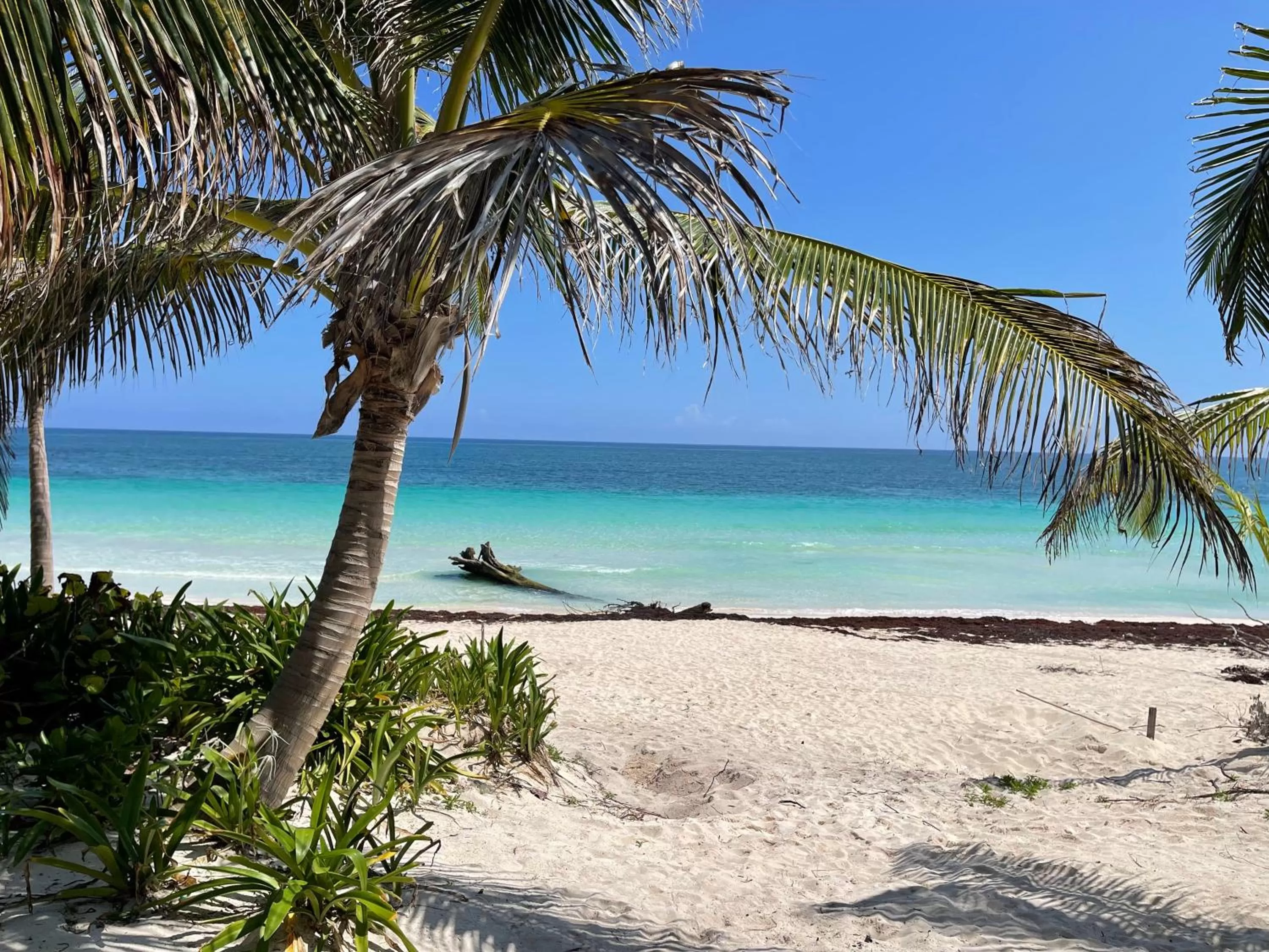 Beach in Casa Phoenix Tulum