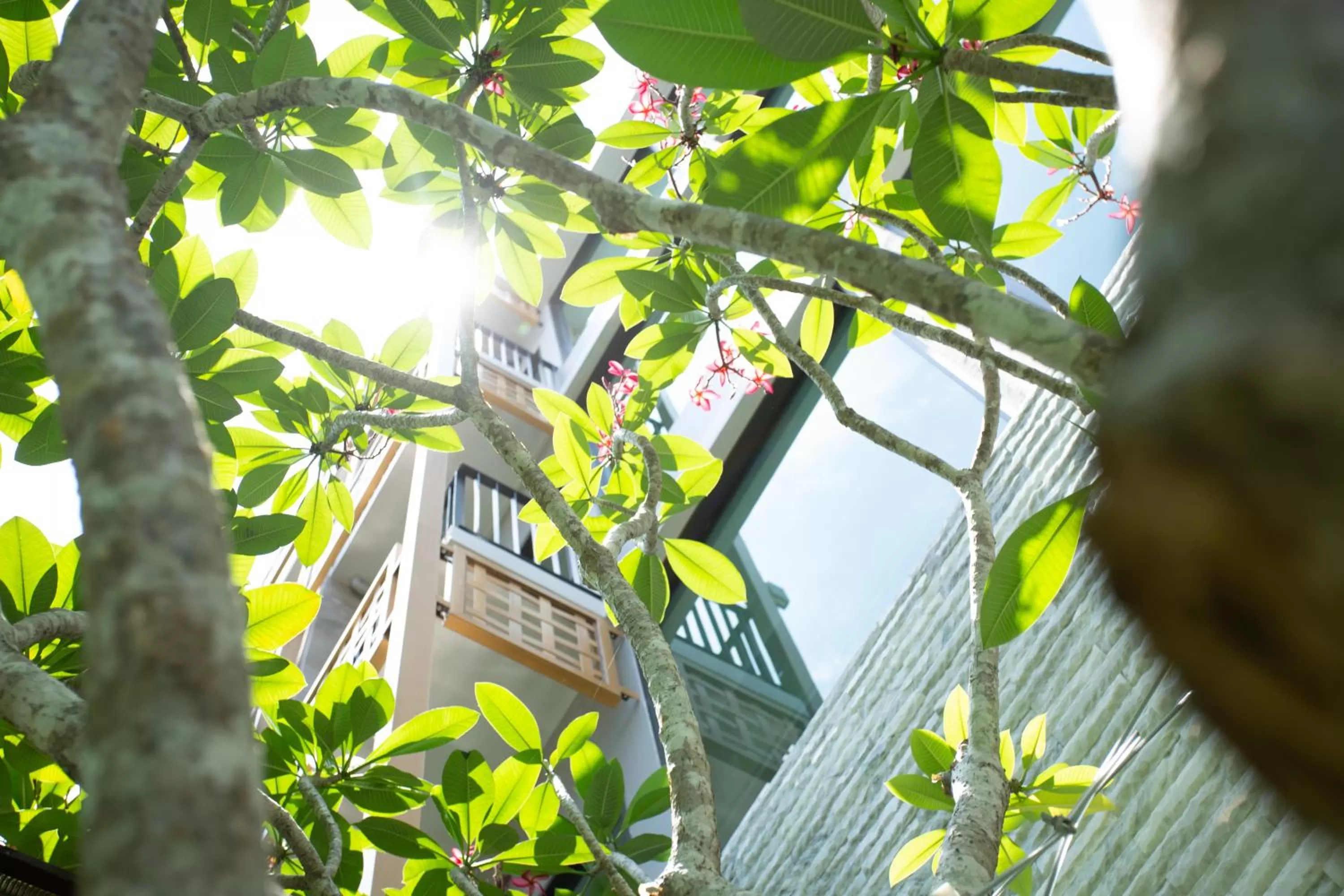 Other in SHAN Villas Sukhumvit