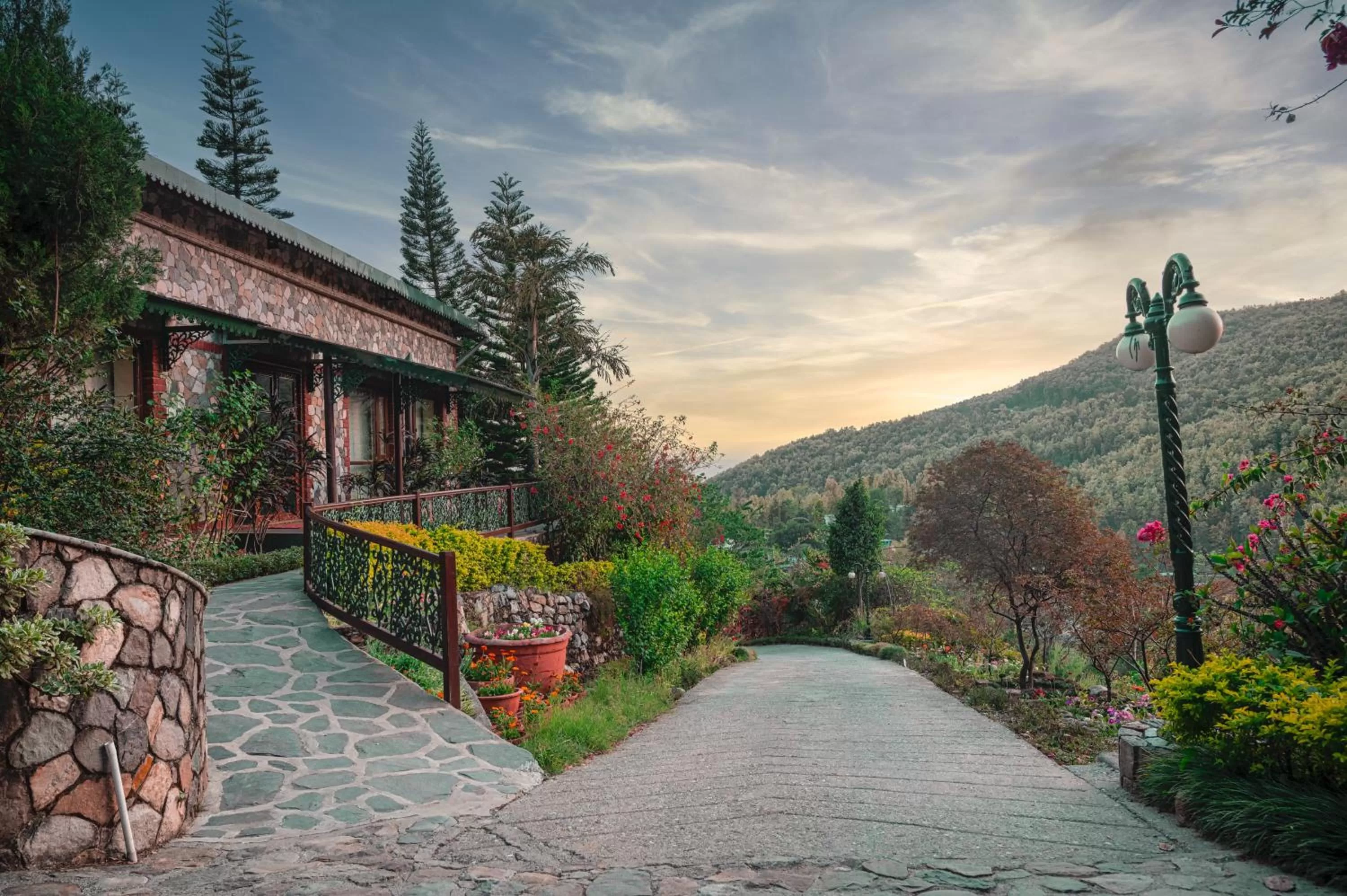 Tree of Life Resort Dehradun Foothills