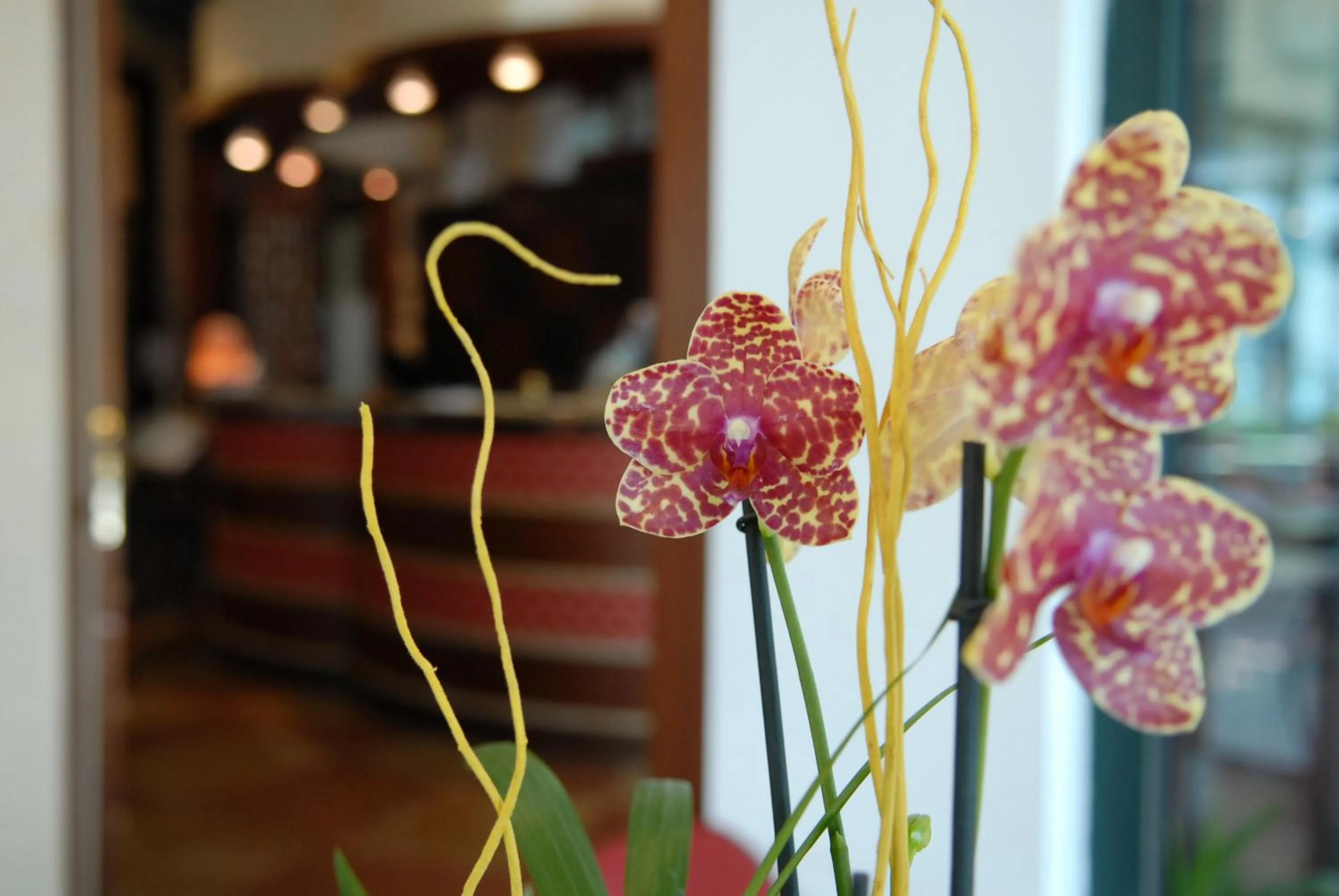 Lobby or reception in Hotel Dei Platani