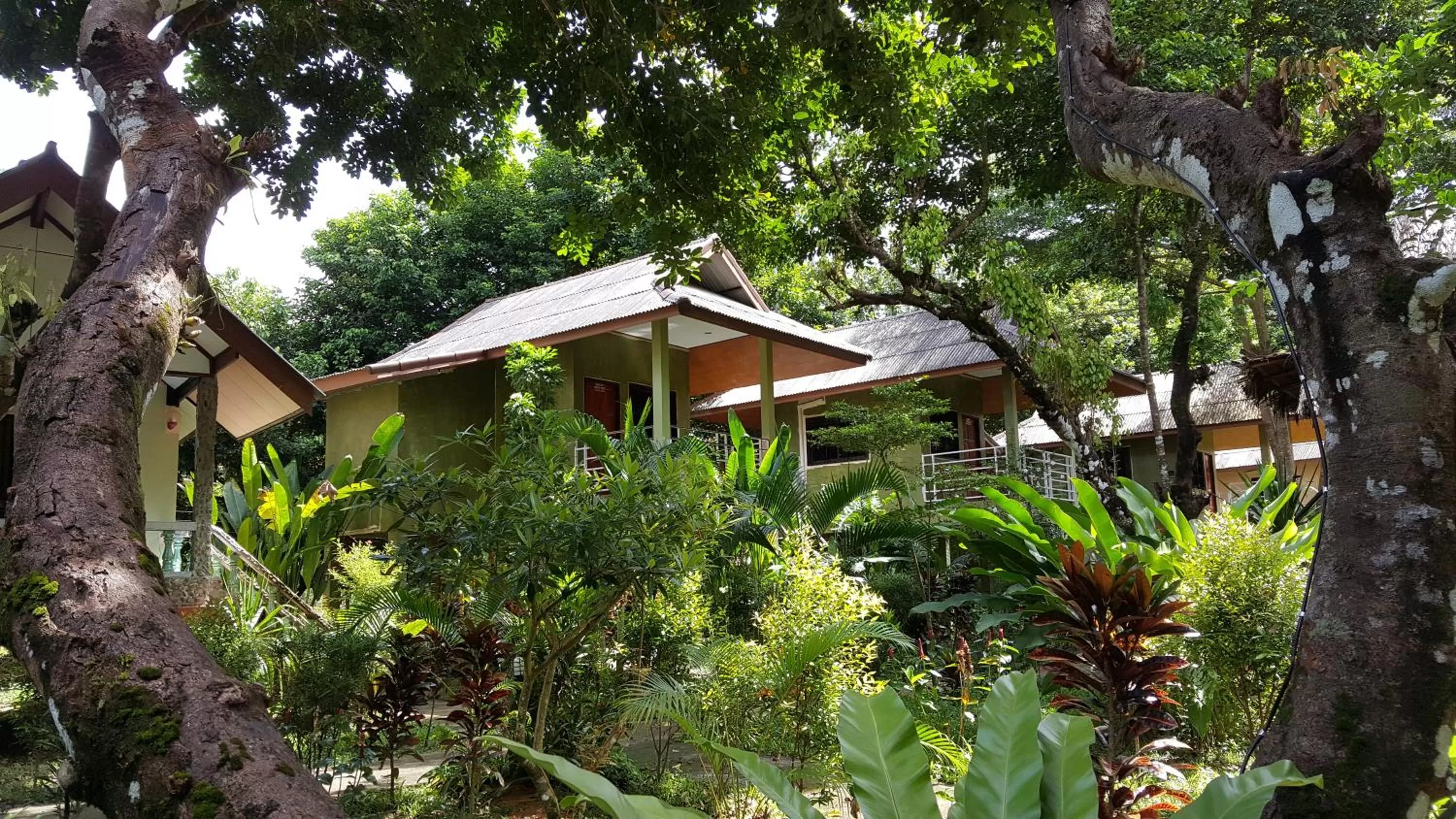 Property building in Khao Sok Jungle Huts Resort