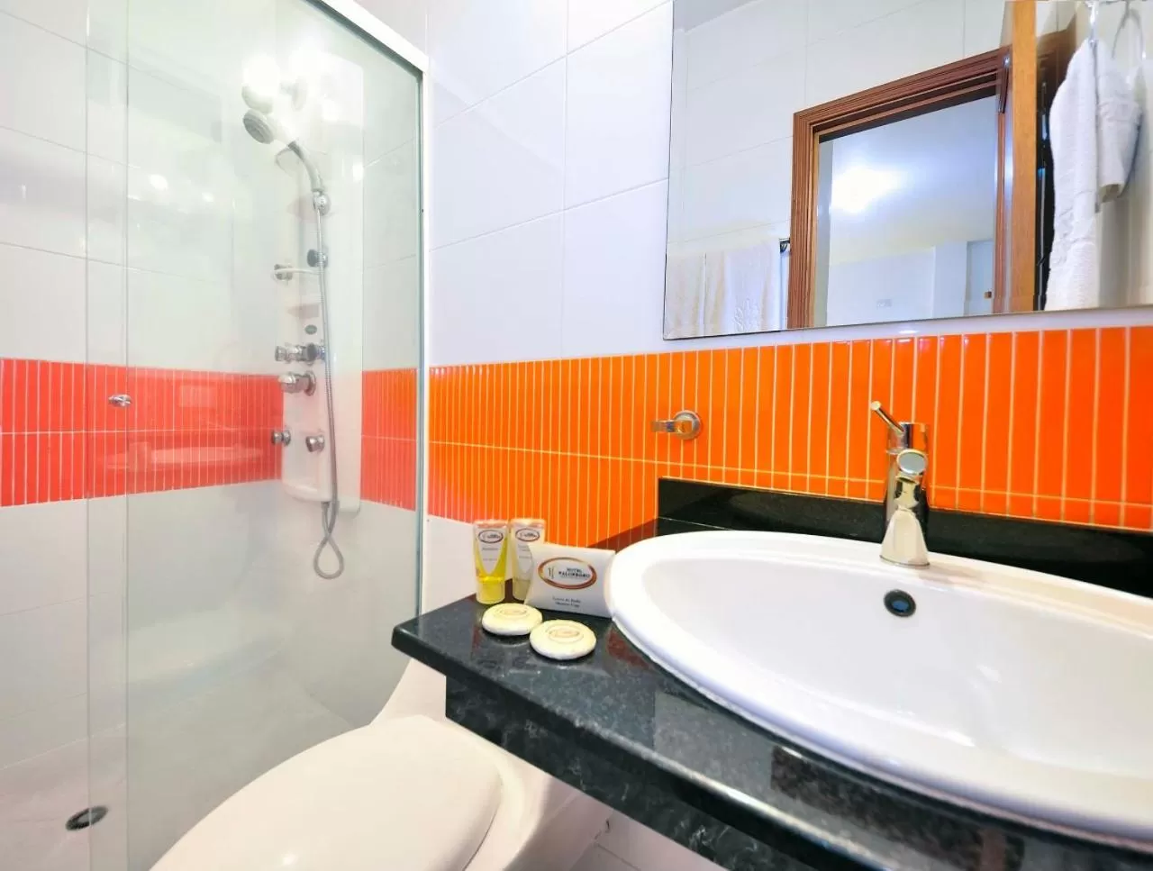 Bathroom in Hotel Palonegro