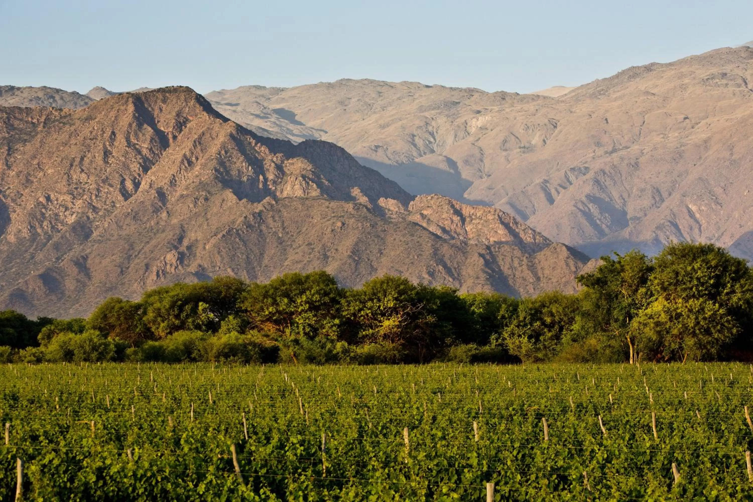 View (from property/room), Natural Landscape in Grace Cafayate