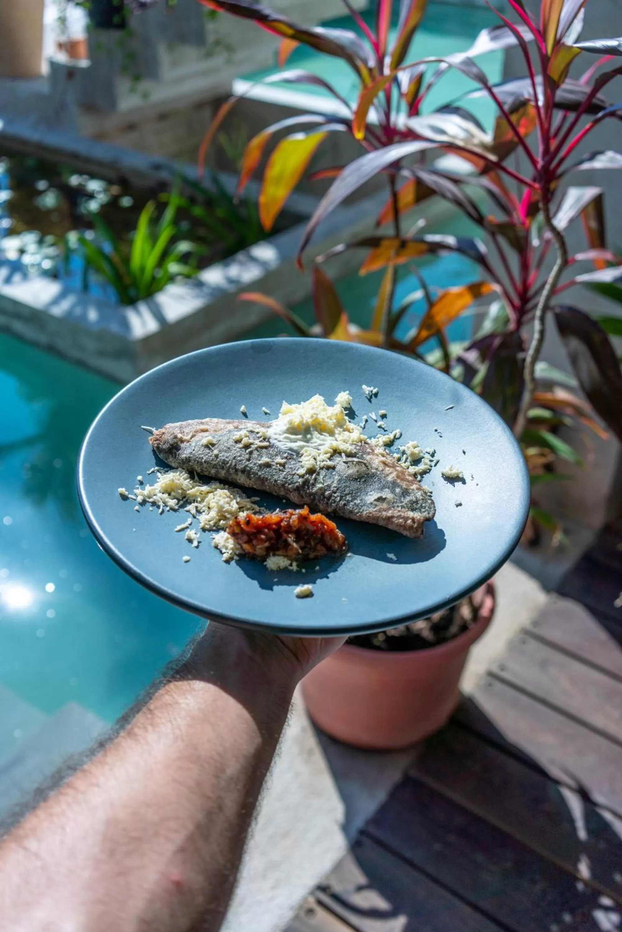 Restaurant/places to eat in Hotel Makaabá Eco-Boutique