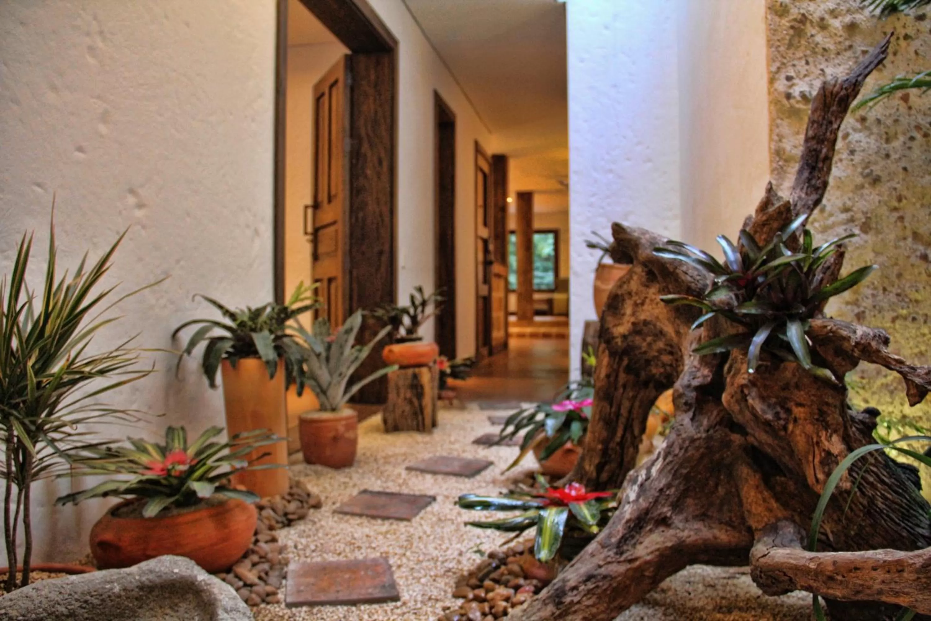 Garden in Casa Del Reloj