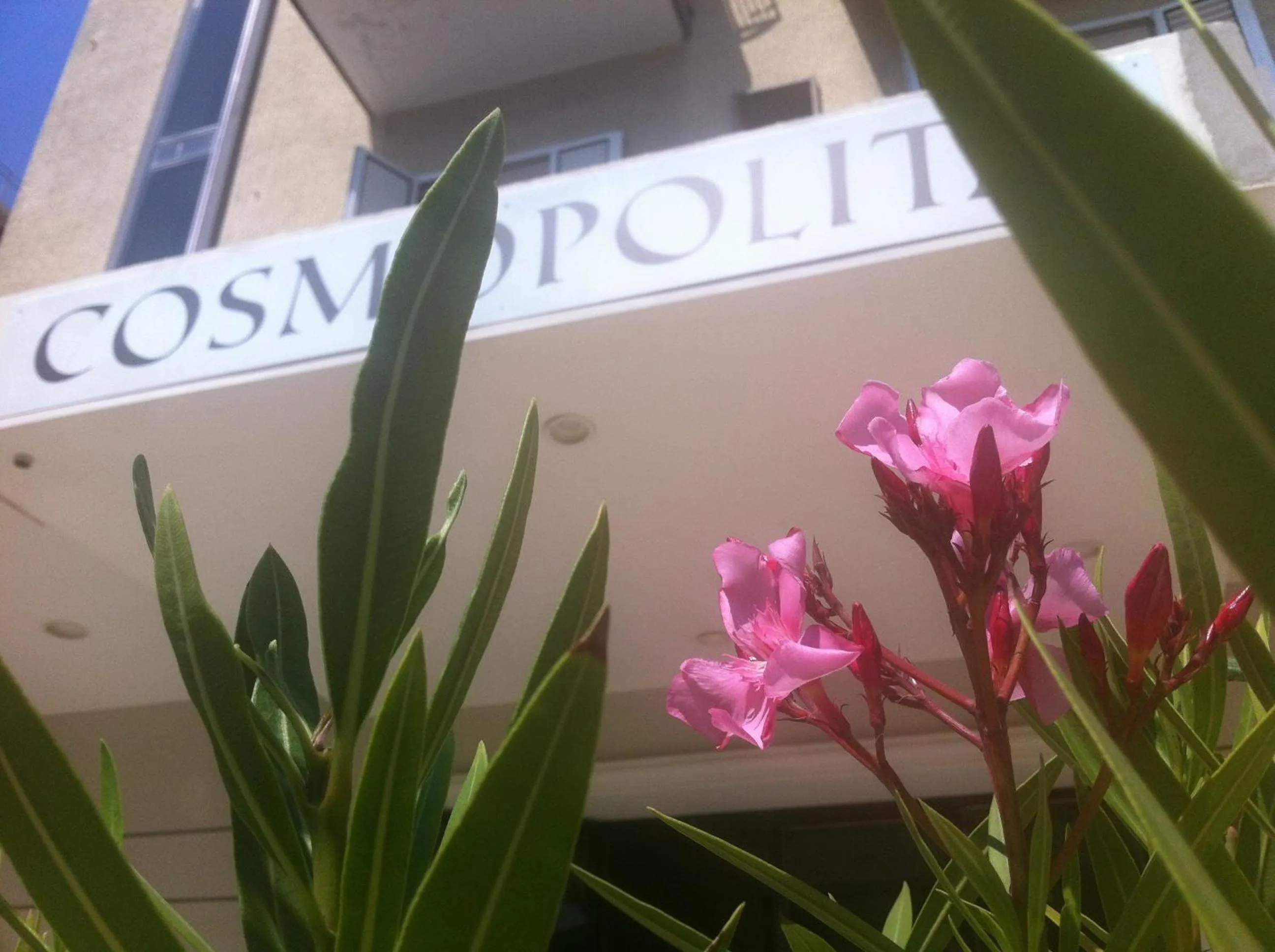 Facade/entrance in Hotel Cosmopolita