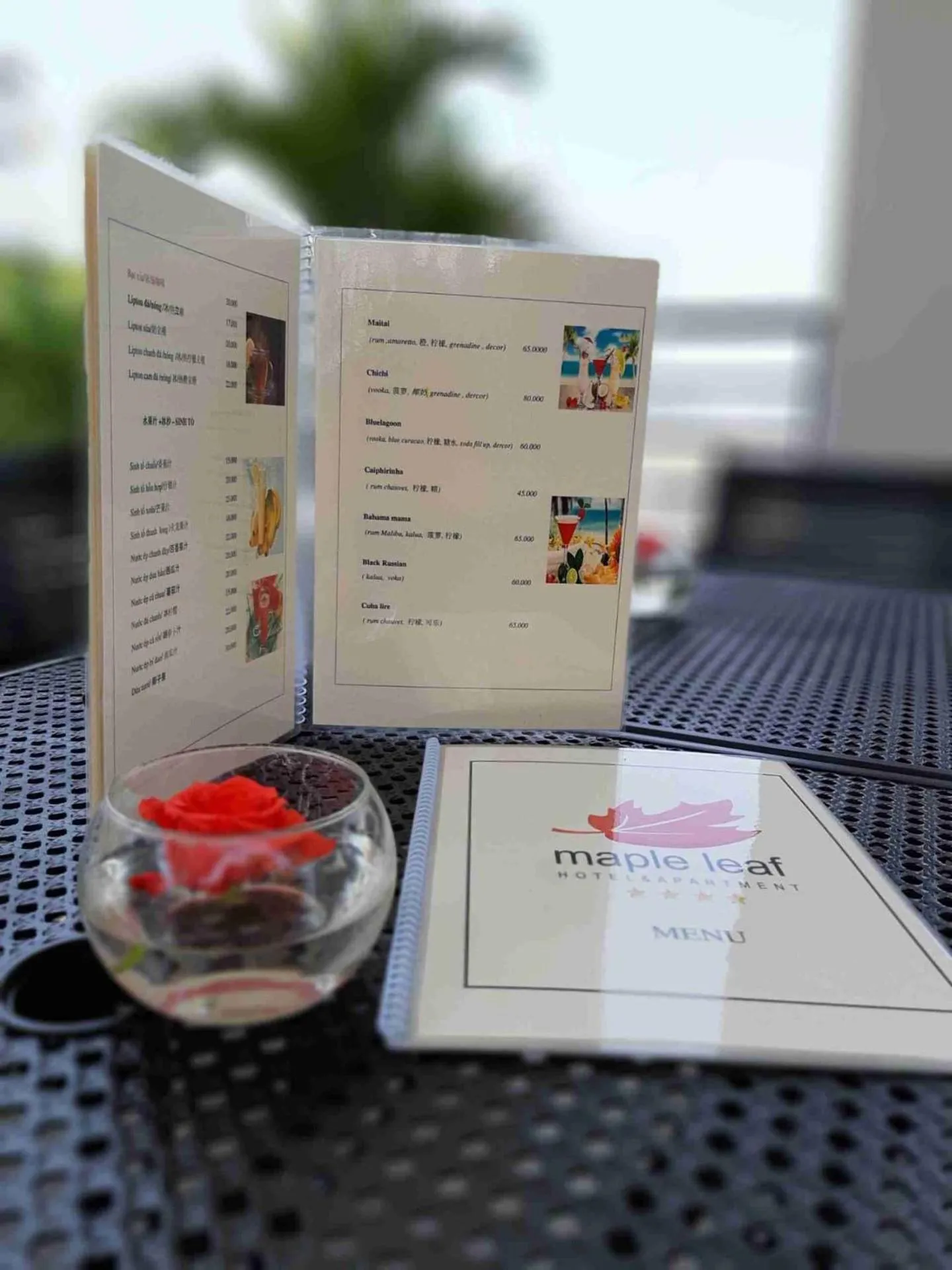 Property building in Maple Leaf Hotel & Apartment