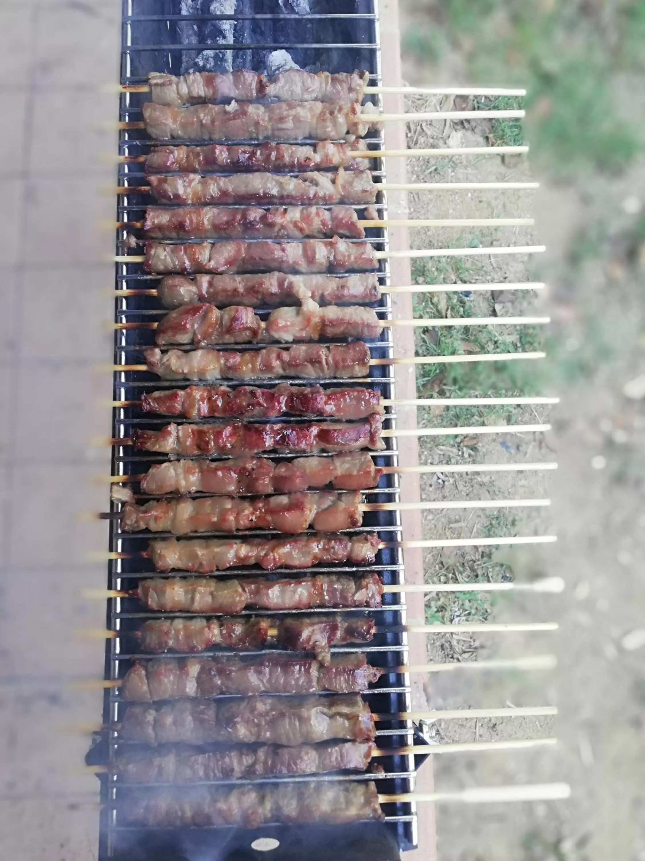 Other Animals in B&B Villa Mia