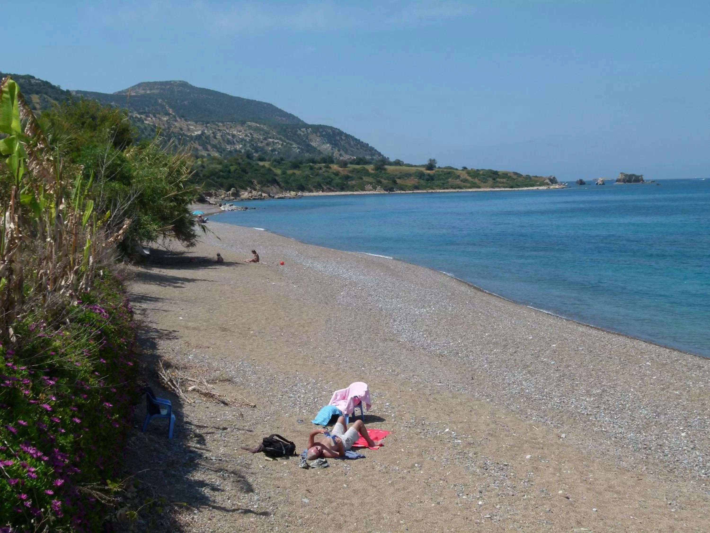 Beach in Aphrodite Beach Hotel
