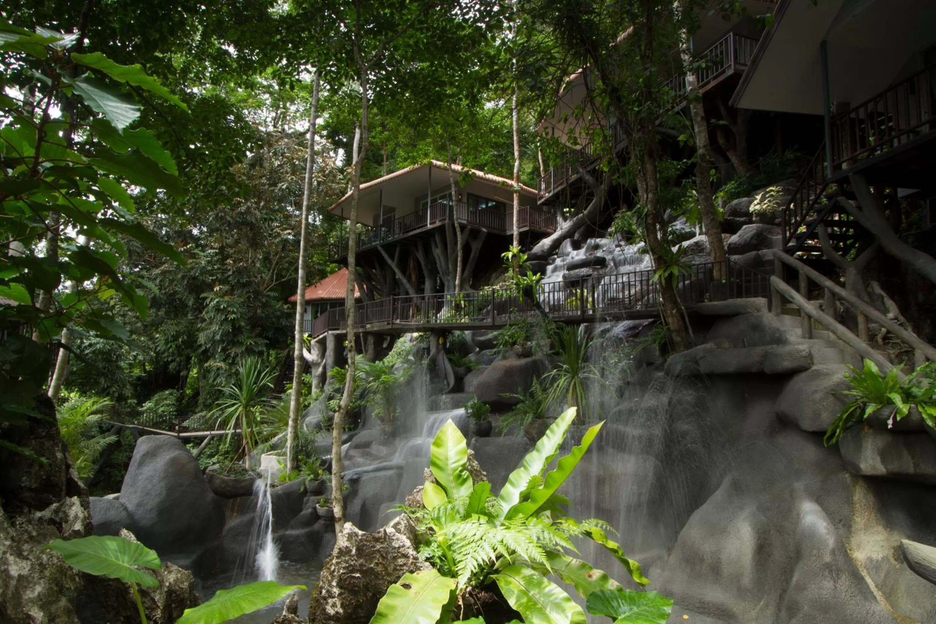 Rock and Tree House Resort