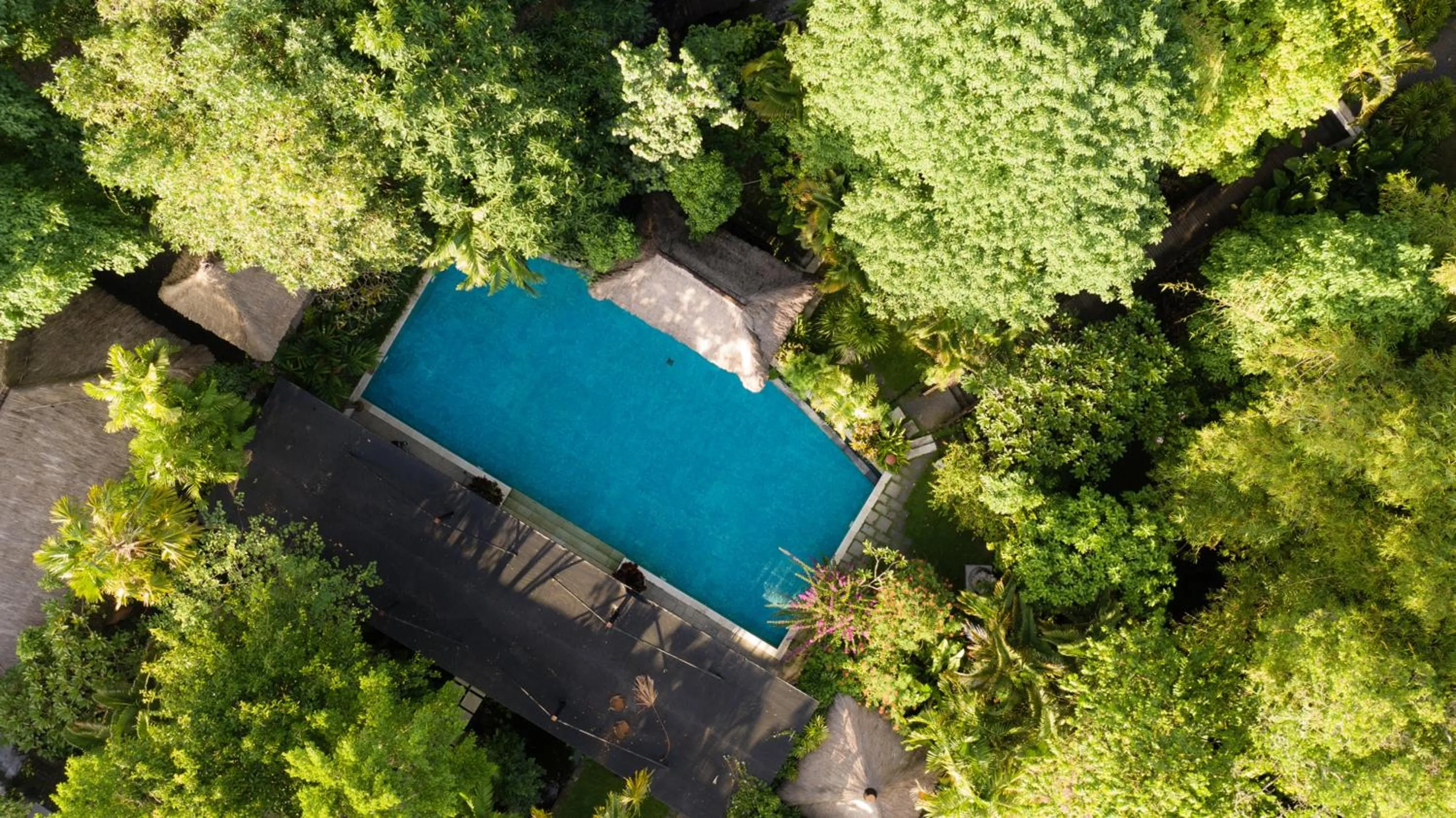 Bird's eye view in Villa Canggu by Plataran