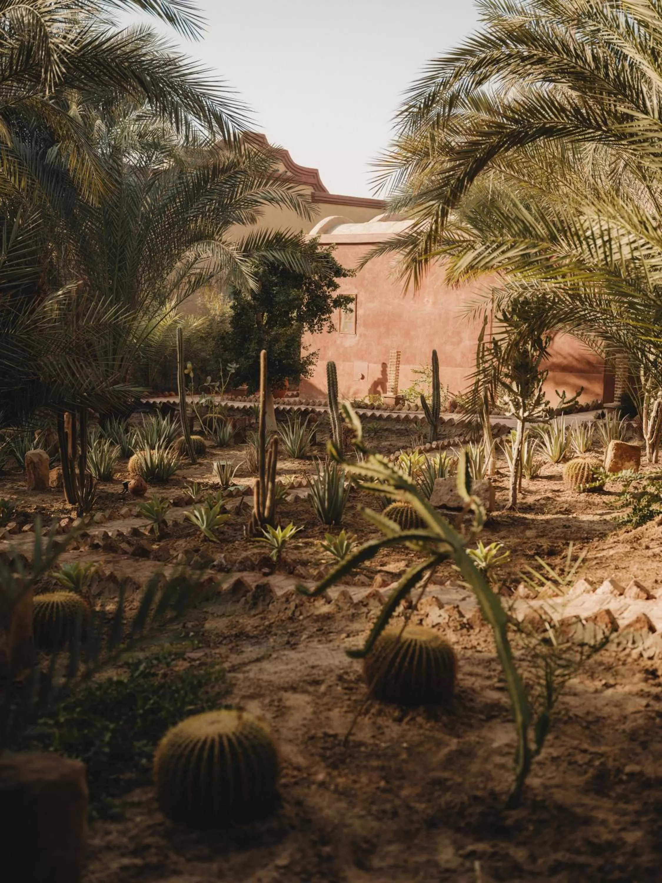 Garden view in Al Moudira Hotel