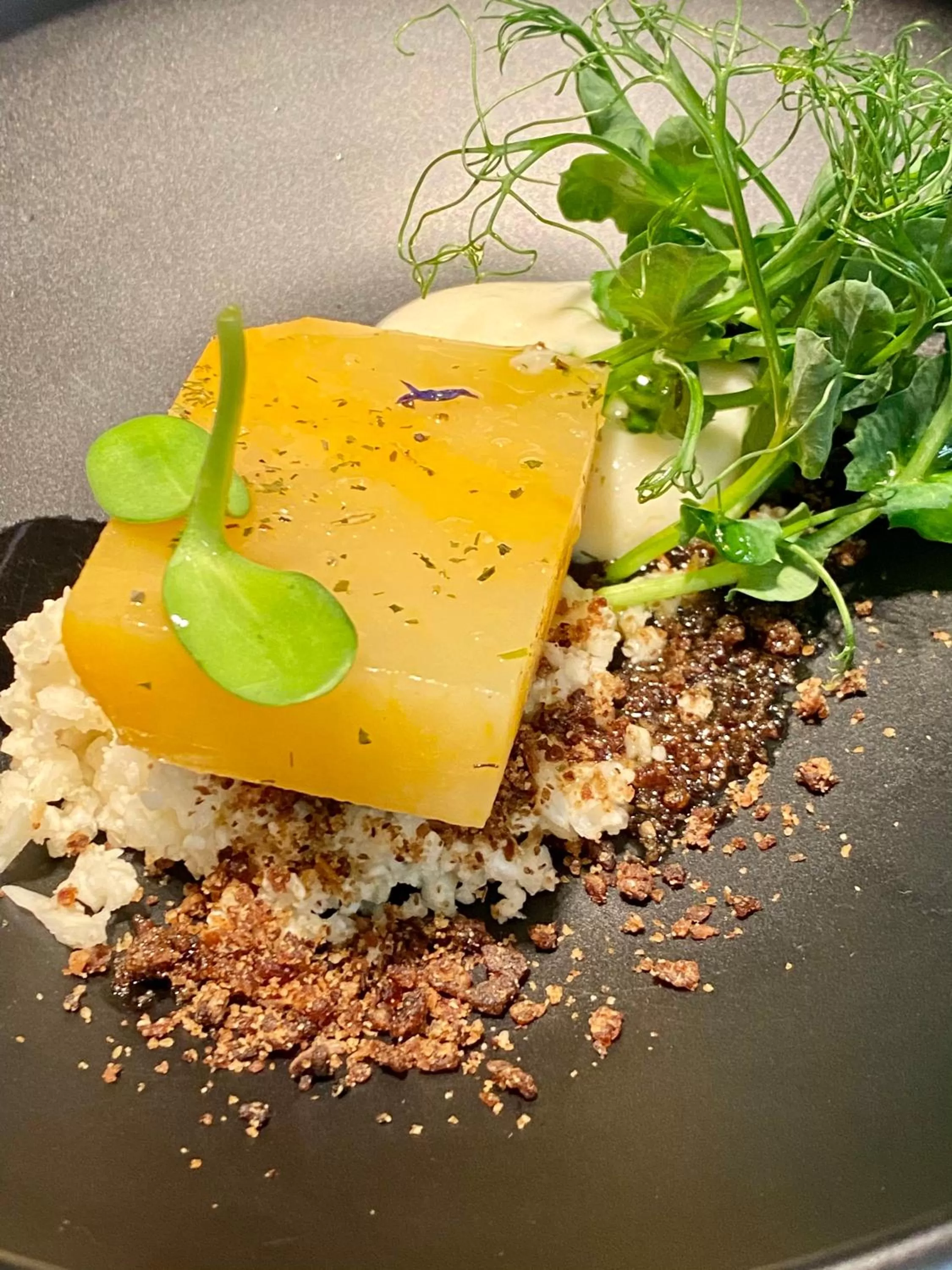 Food close-up in Alpenloge Design Hotel